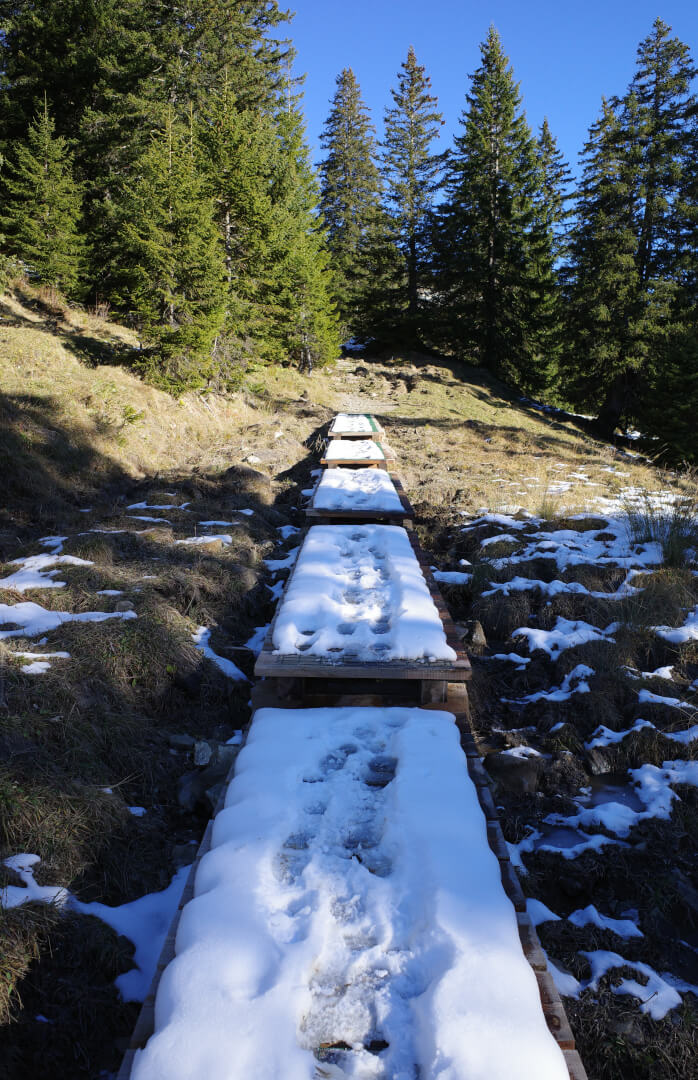 Verschneiter Holzweg