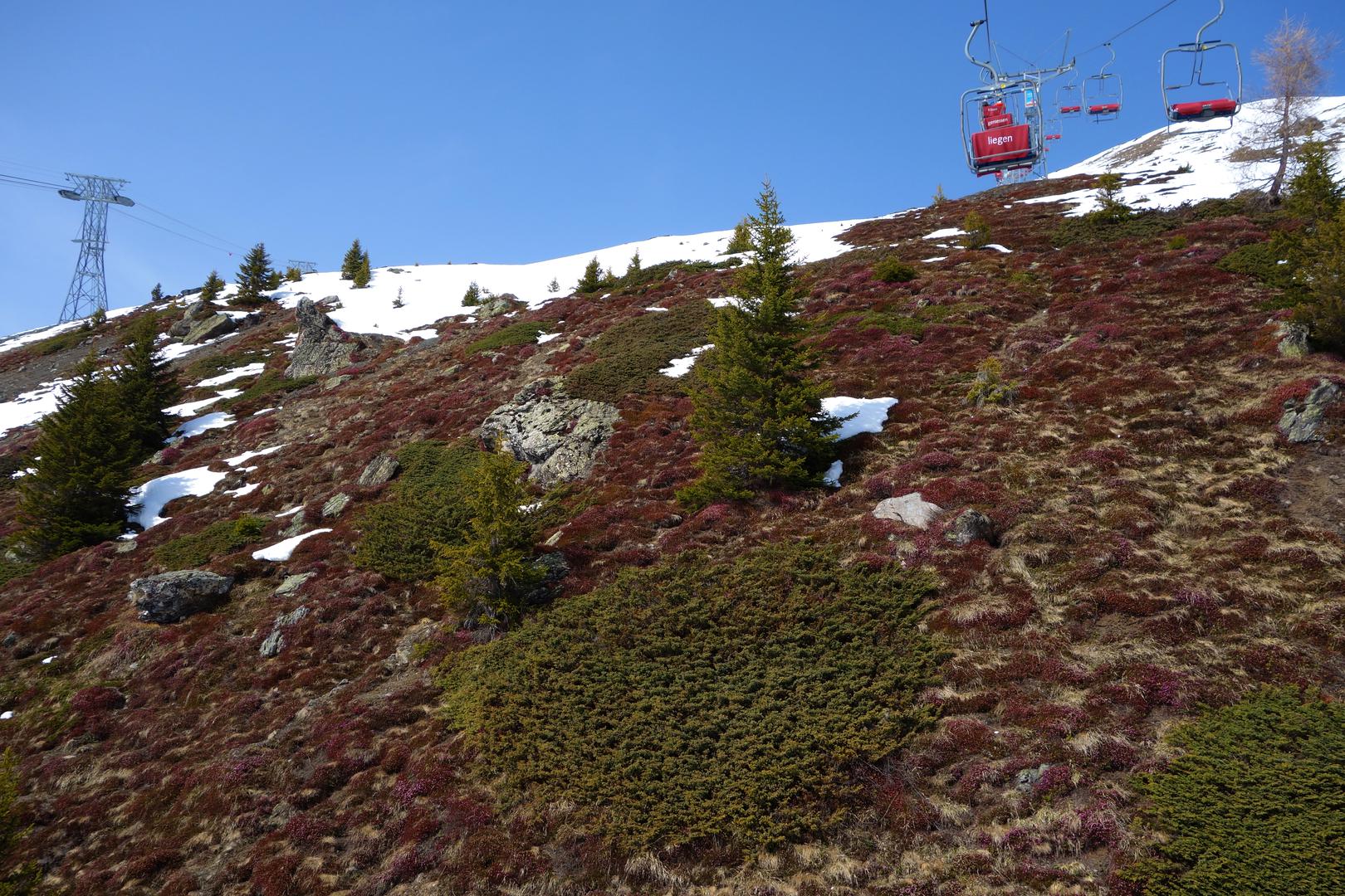 Sesselbahn Brüggerhorn