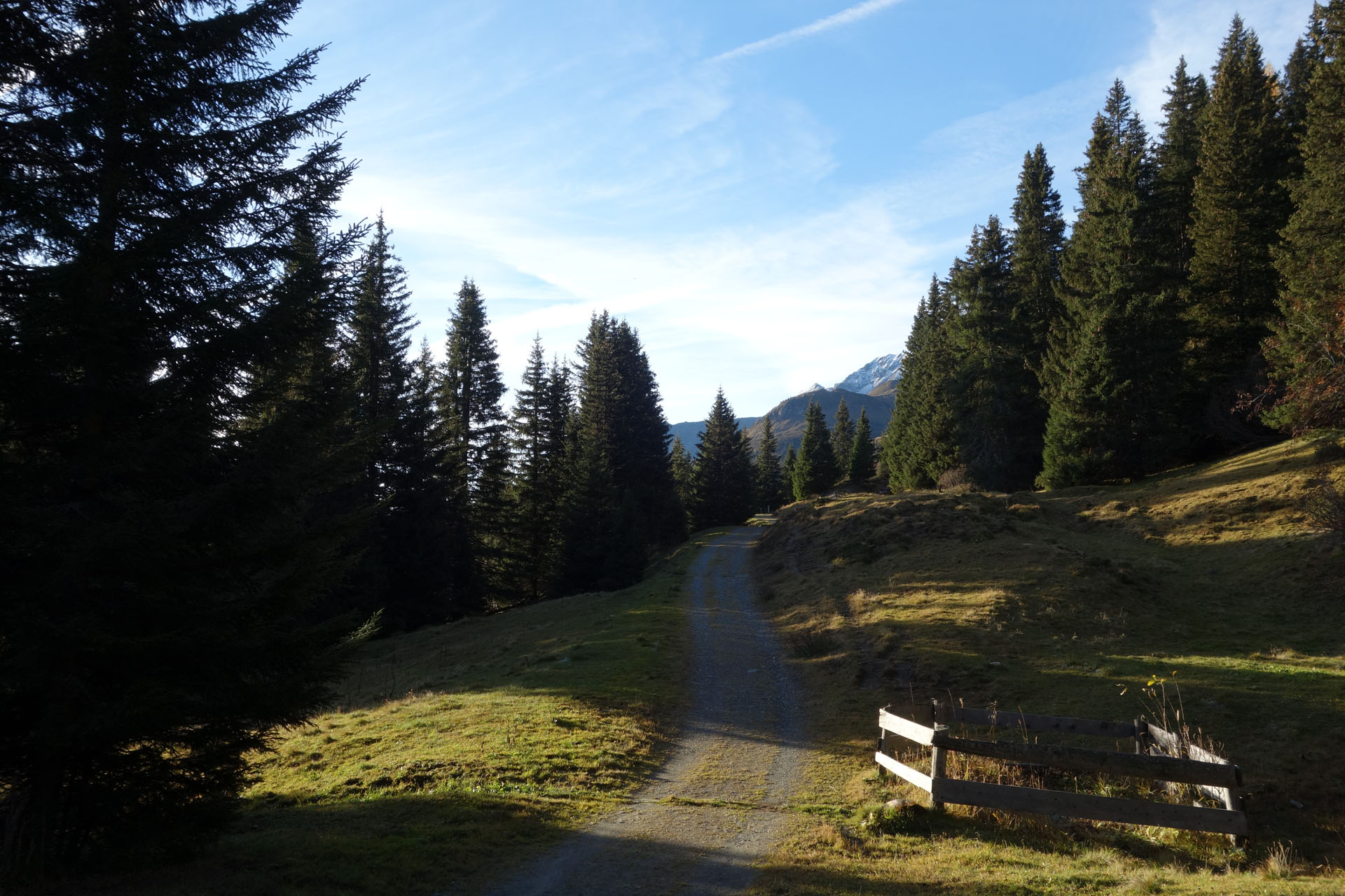 Fahrweg Brambrüesch