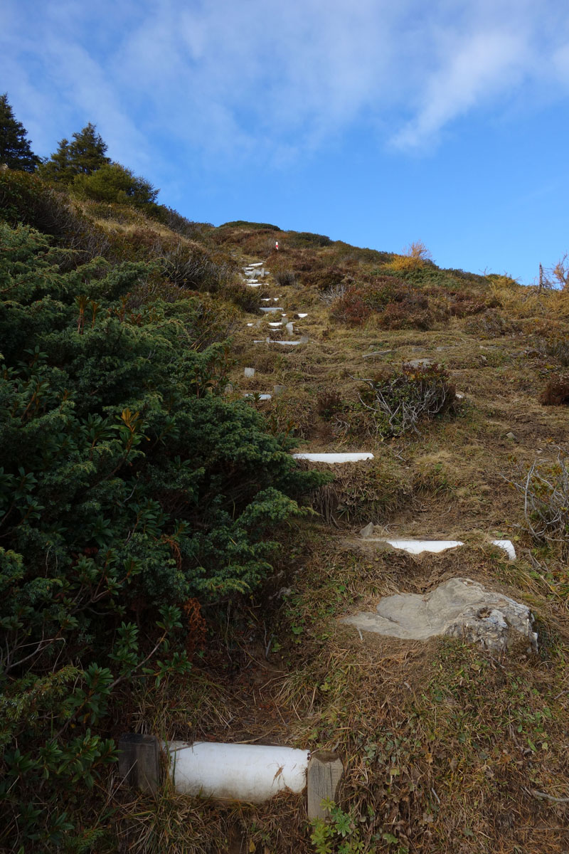 Treppe aus Plastik