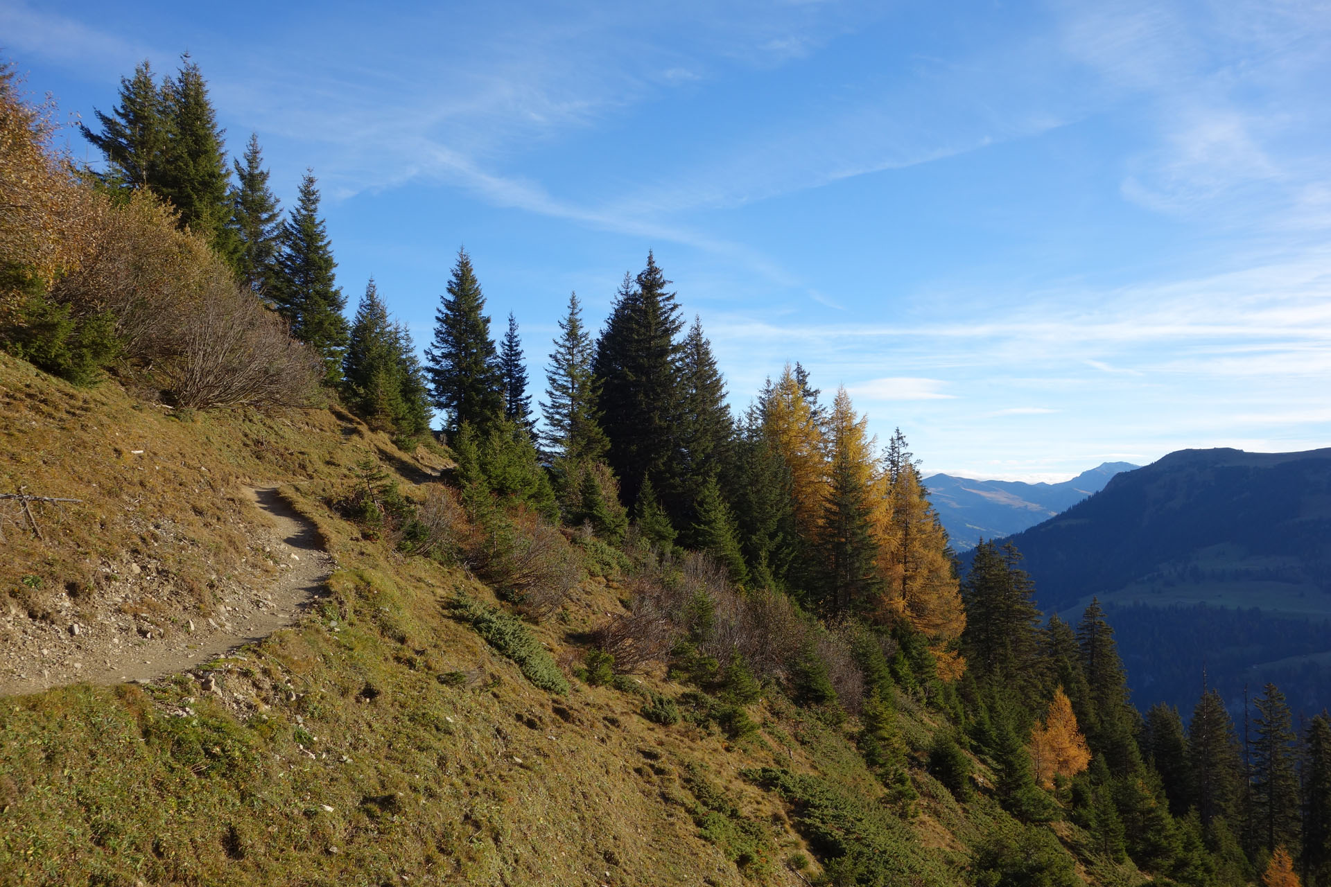 Wanderweg Brambrüesch Pradaschier