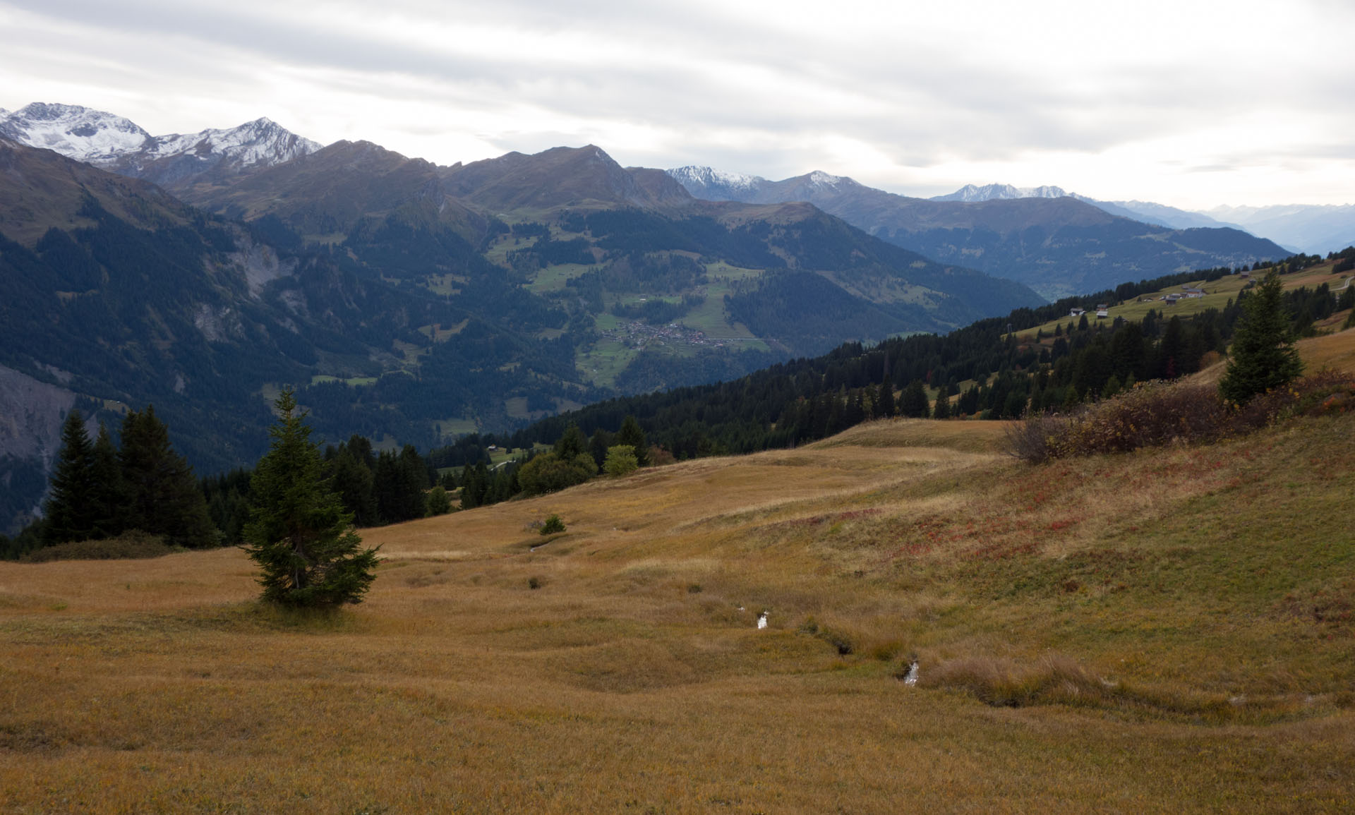 Abstieg Skihaus Hochwang Fatschel