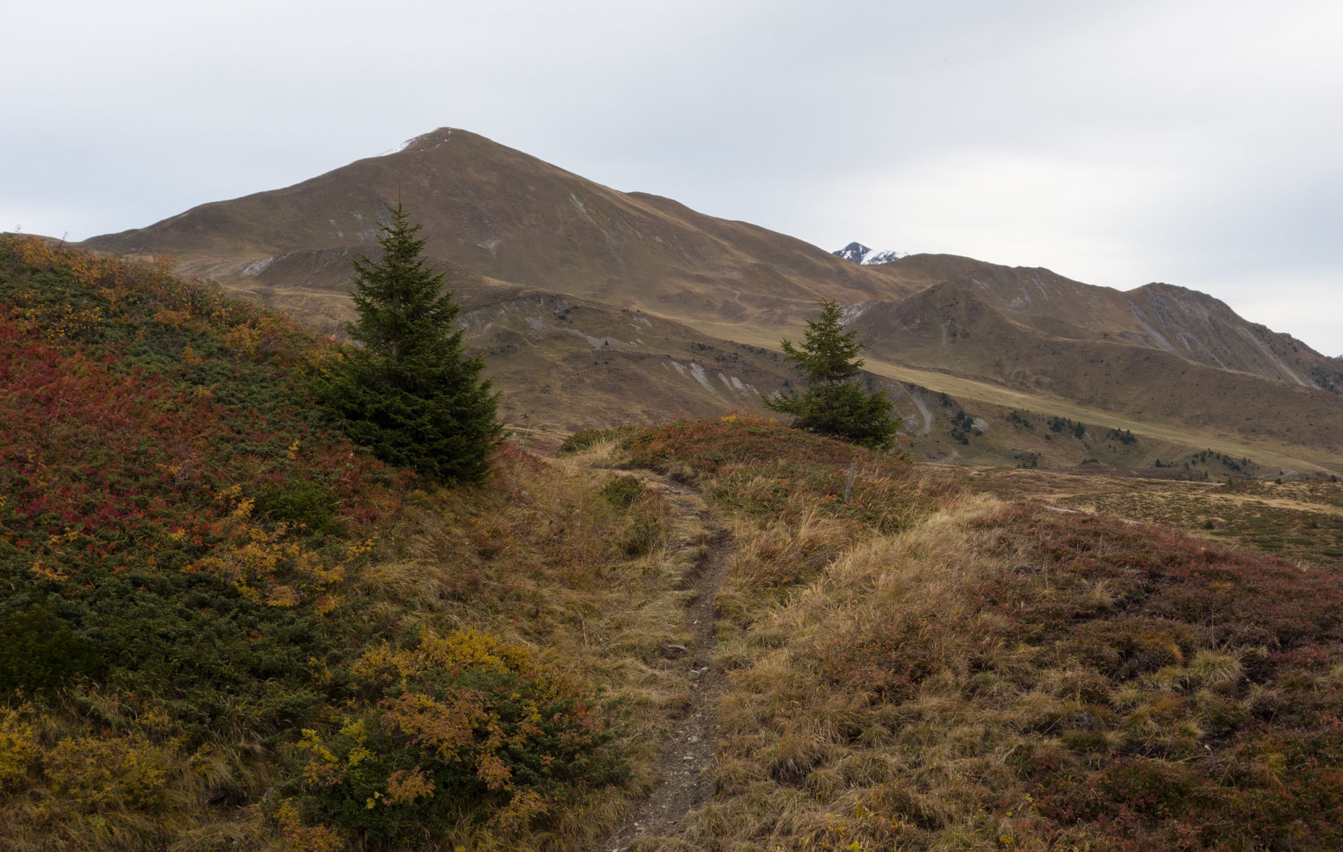 Schanfigg Mattjisch Horn