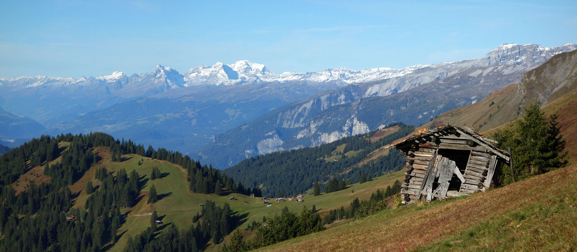 Windschiefe Hütte