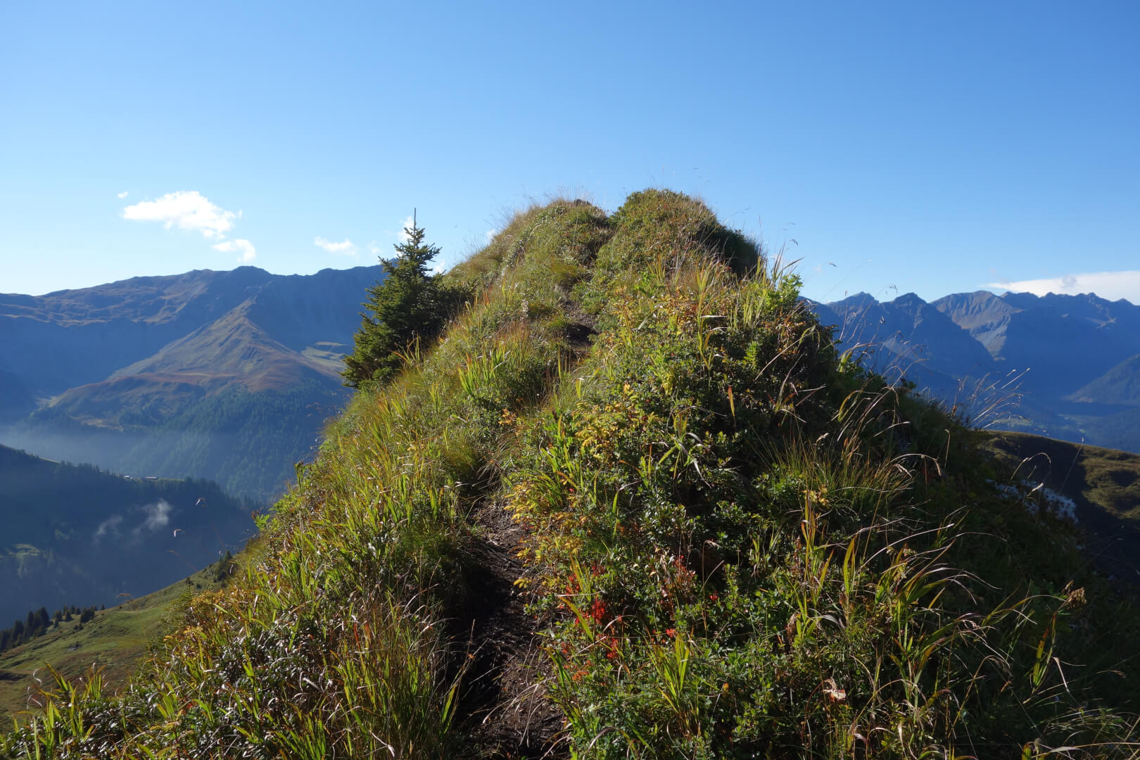 Gratweg Mattjisch Horn