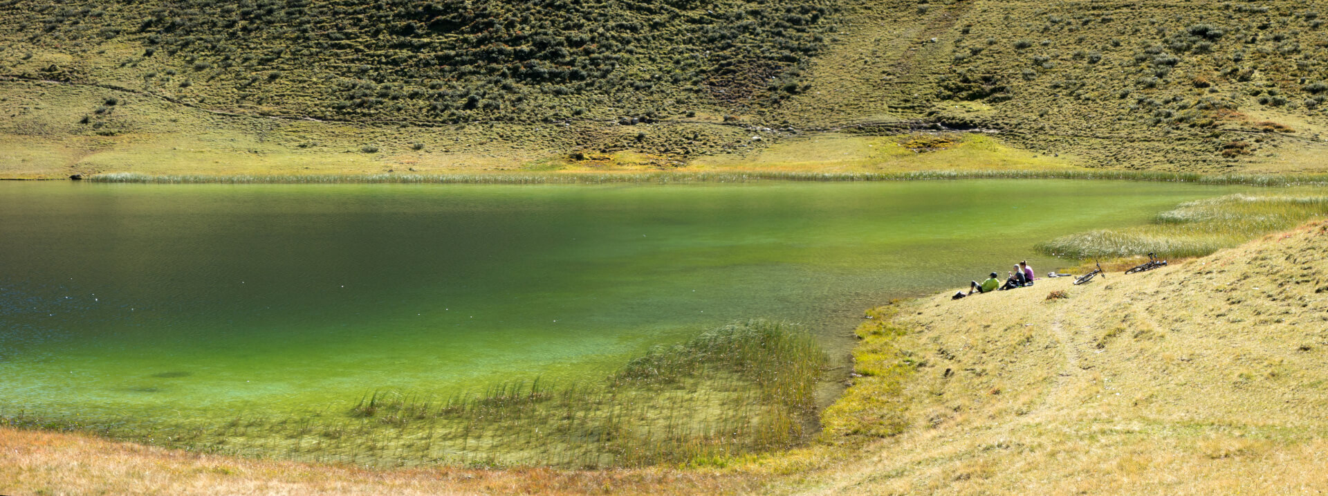 Grünsee
