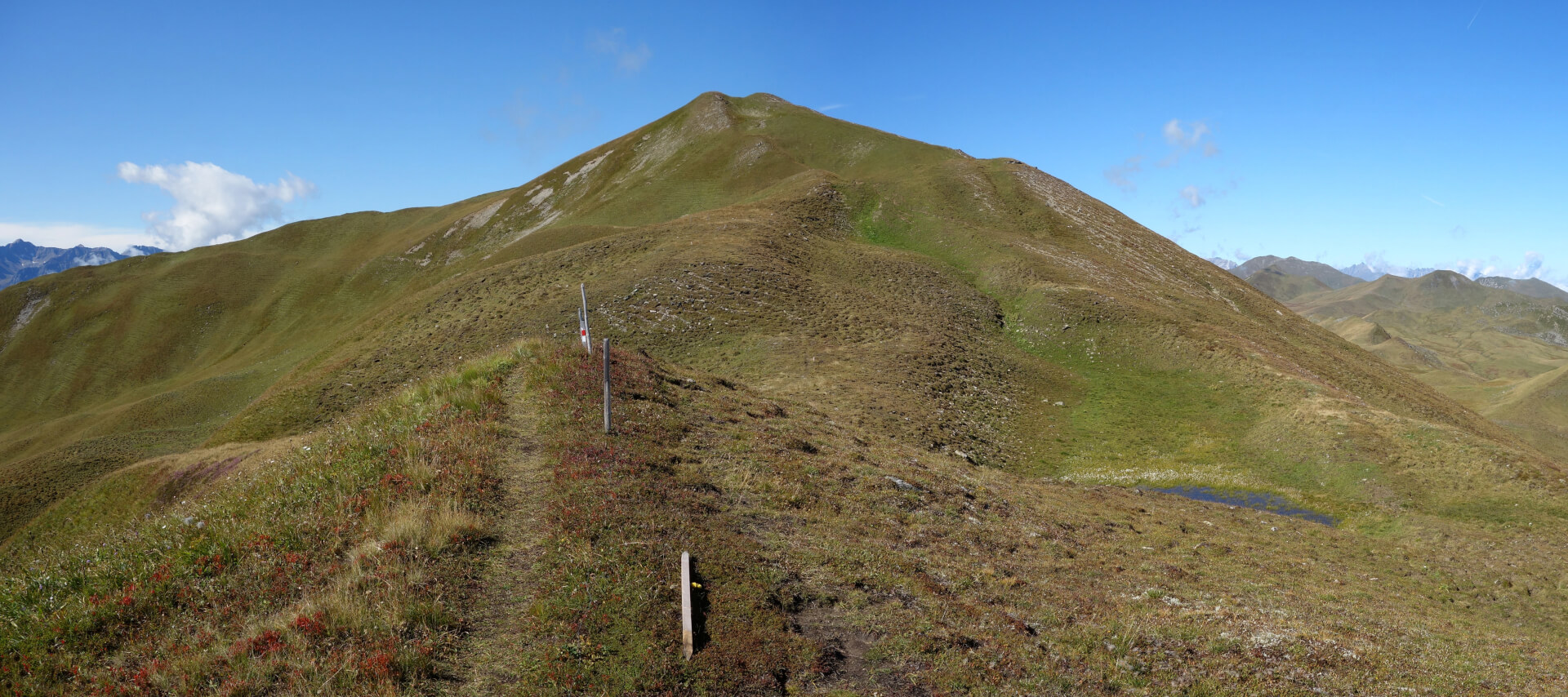 Mattjisch Horn