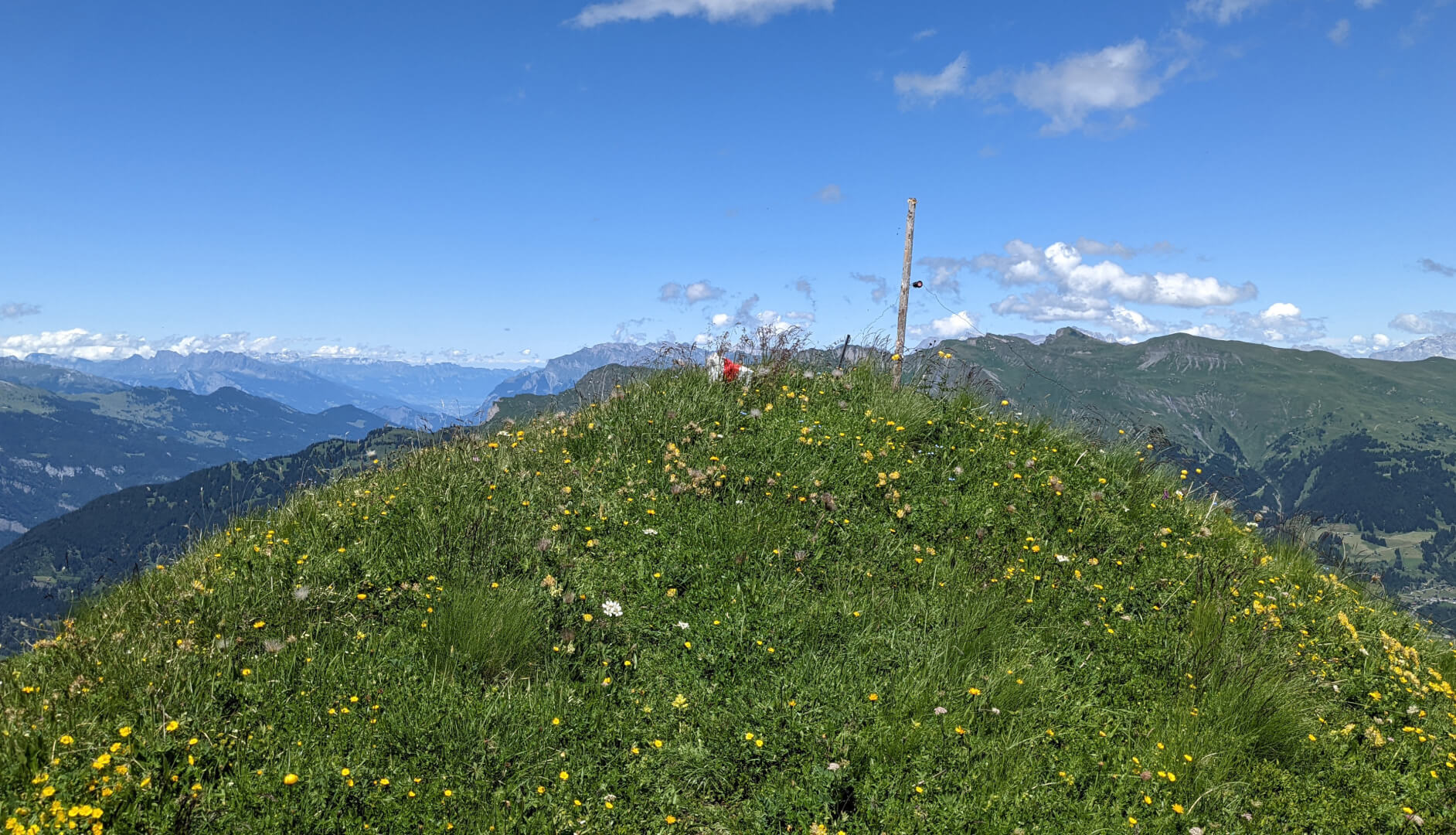 Blumenhügel