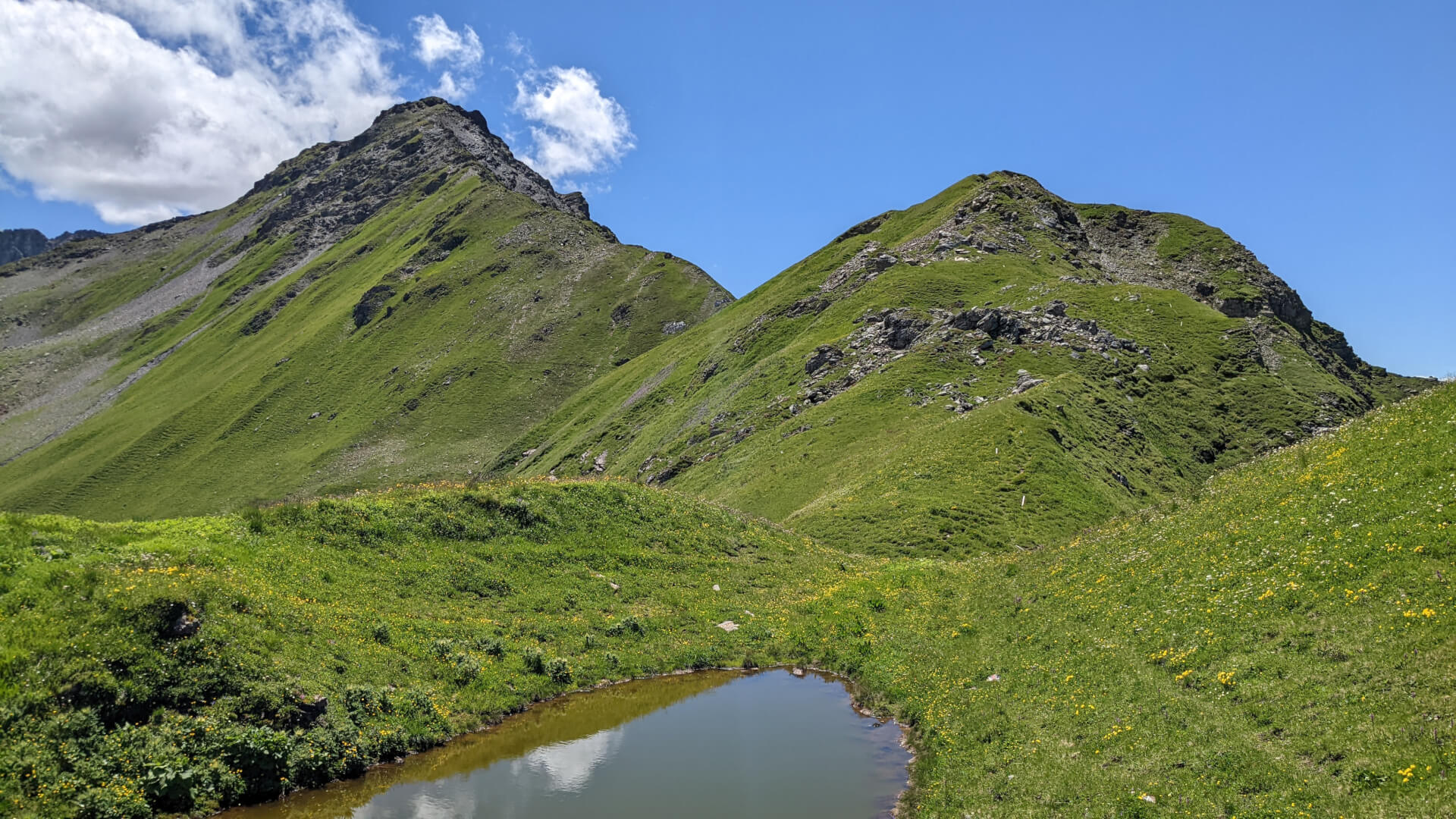 Tümpel