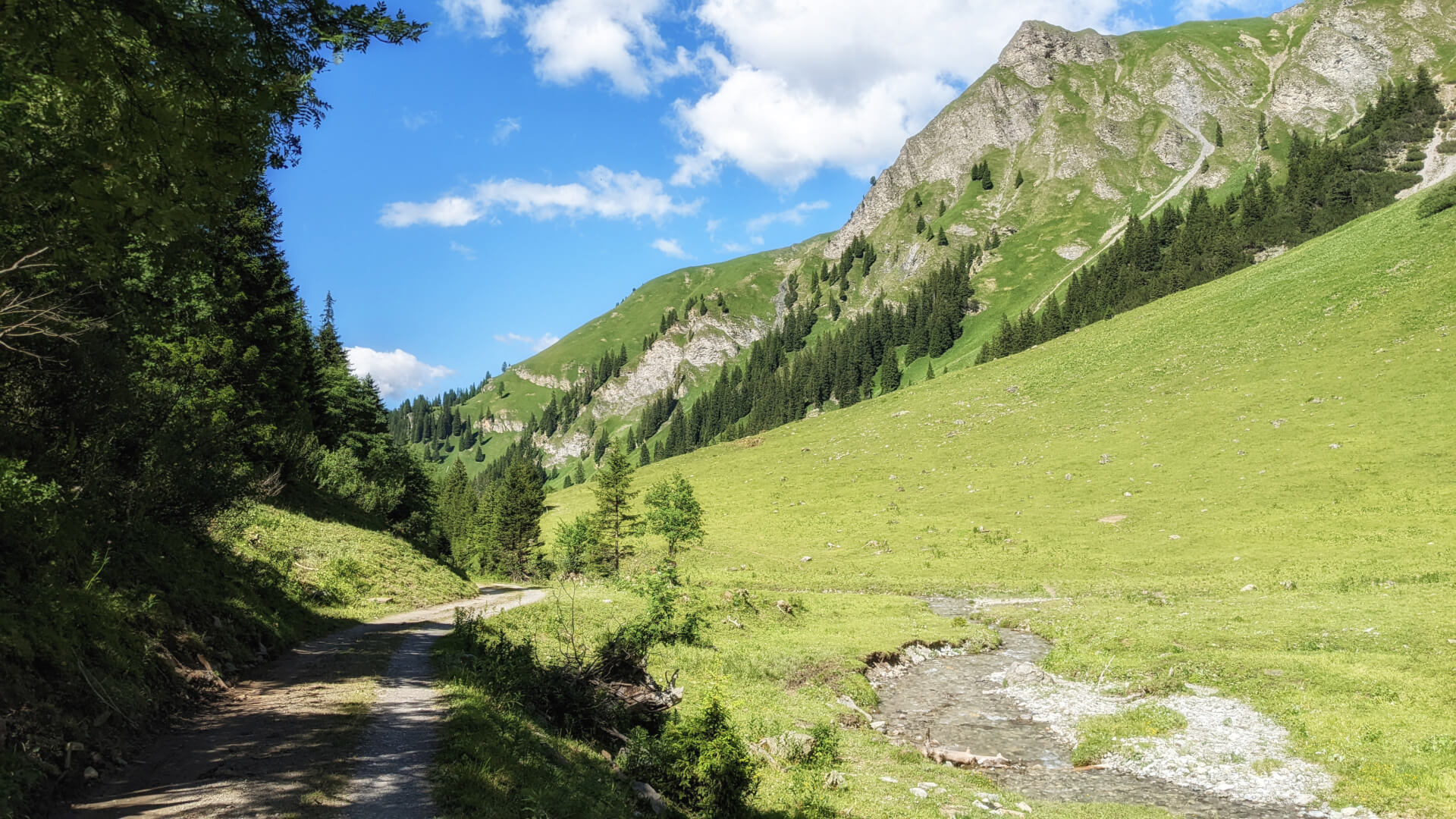 Urdenbach mit Fahrweg
