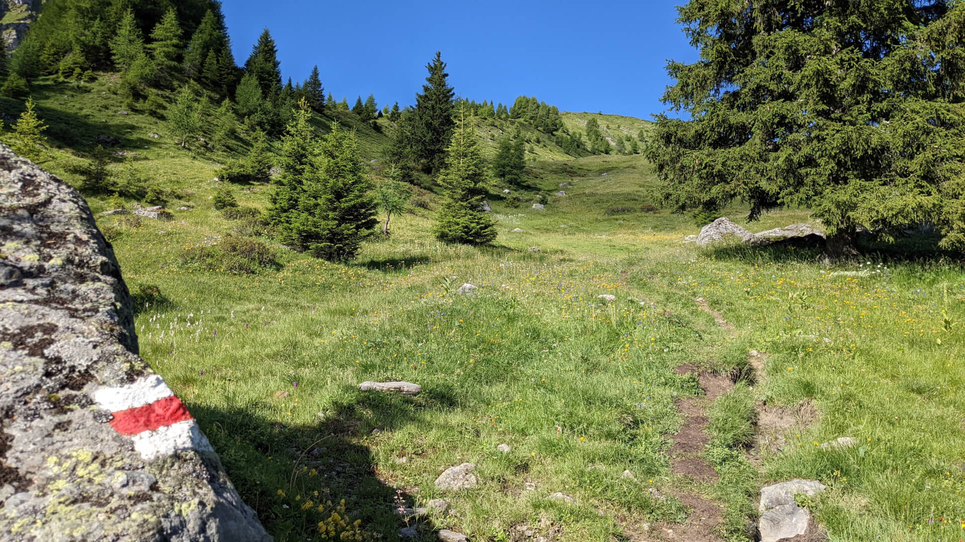 Wanderweg über Wiesen