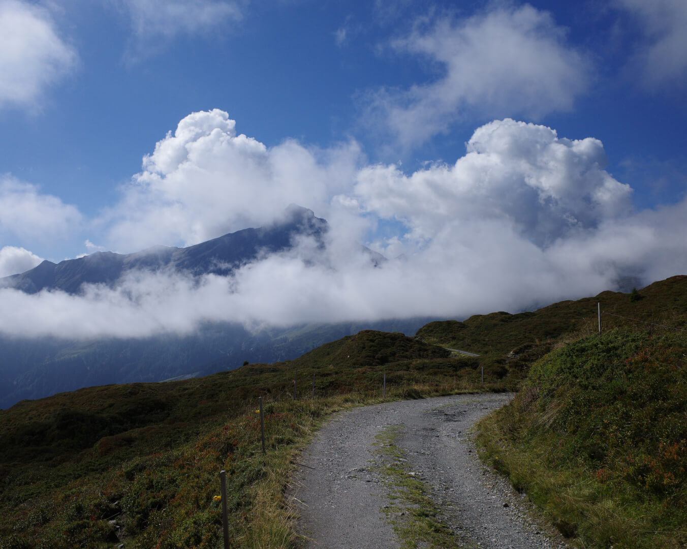 Fahrstraße und Piz Beverin