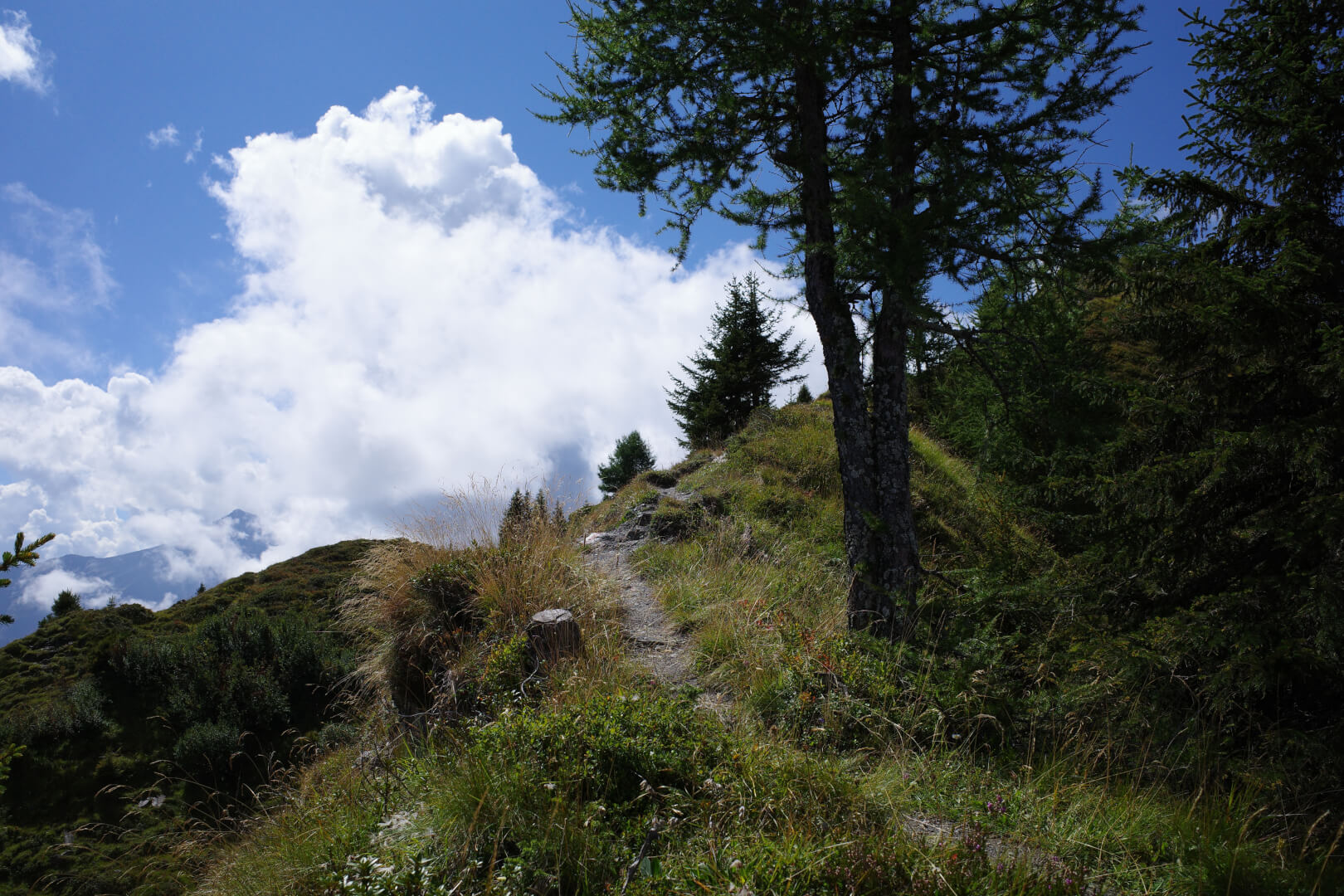 Wanderung Heinzenberg