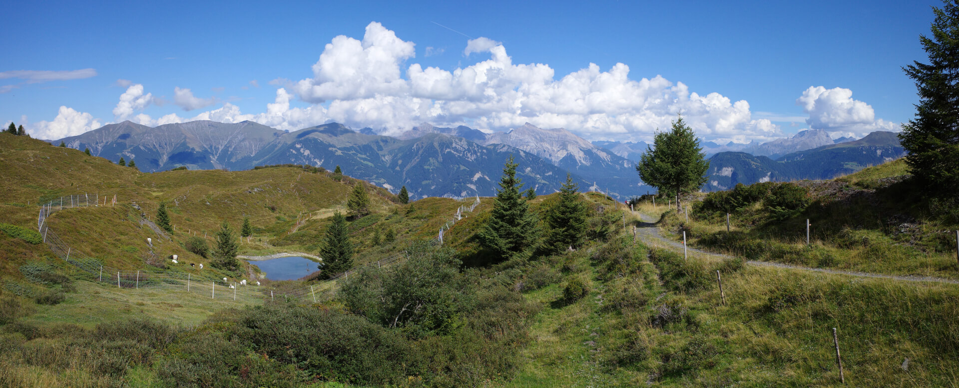 Wanderweg Bischolapass