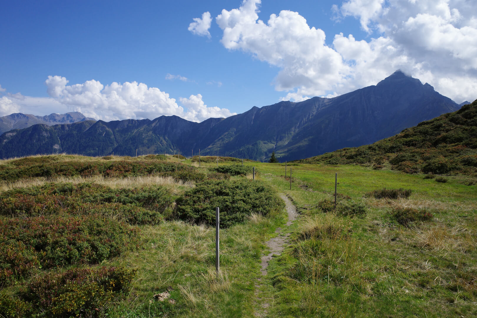 Weg über Wiesen