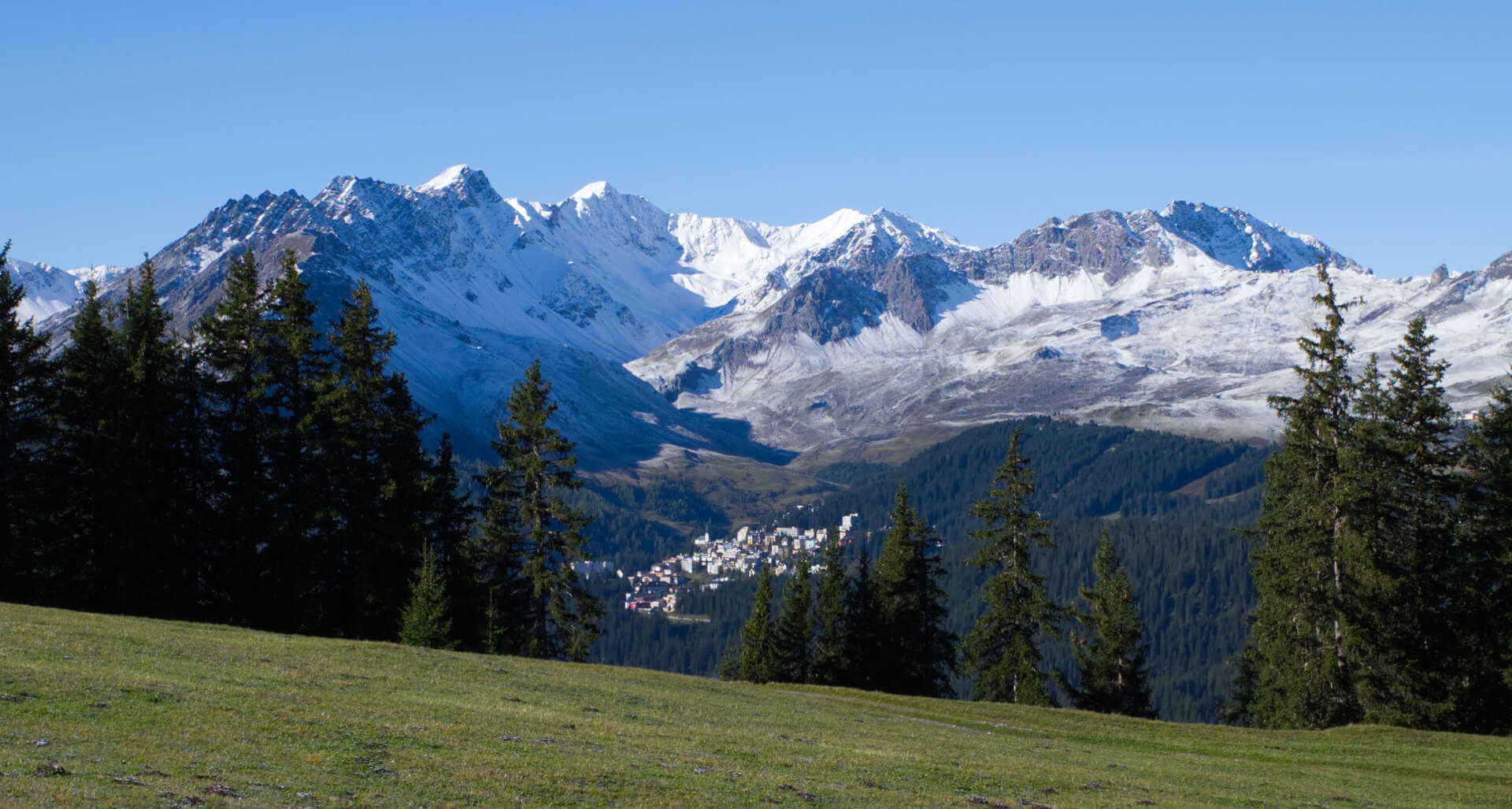 Arosa