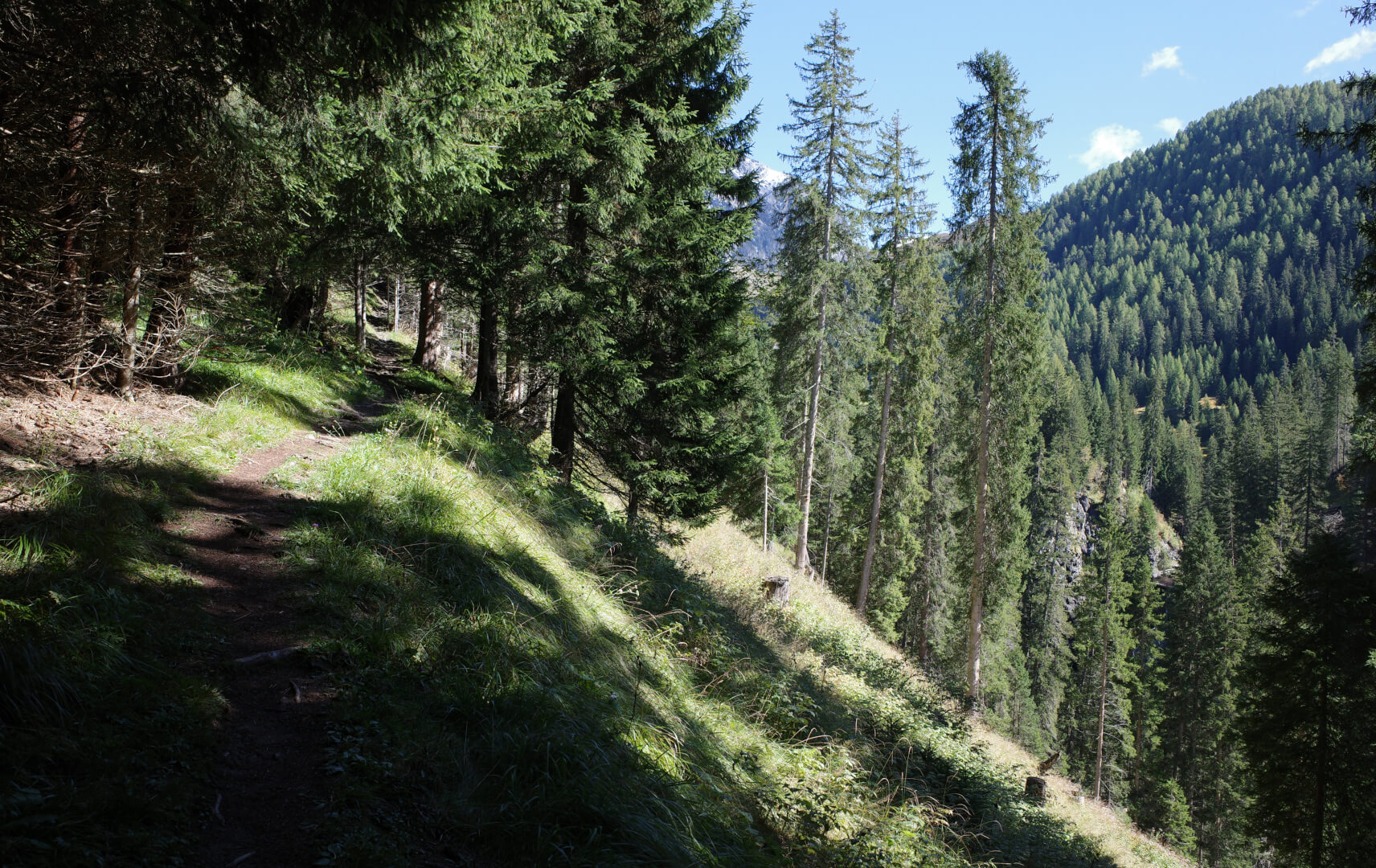 Bergweg durch Wald