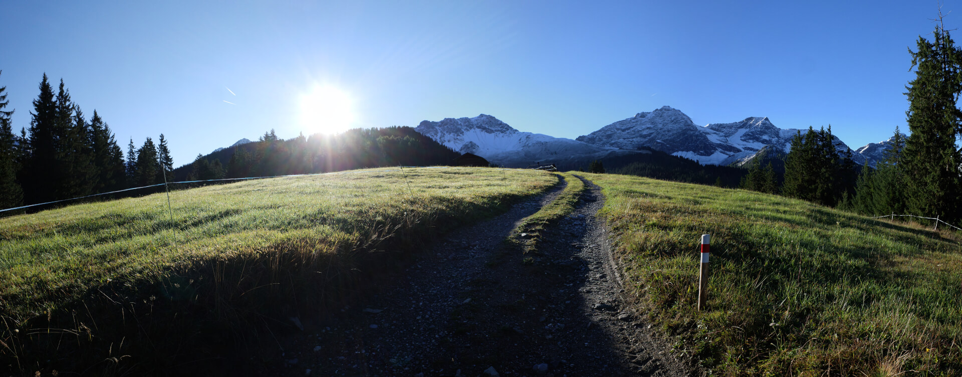 Feldweg bei Sonnenaufgang