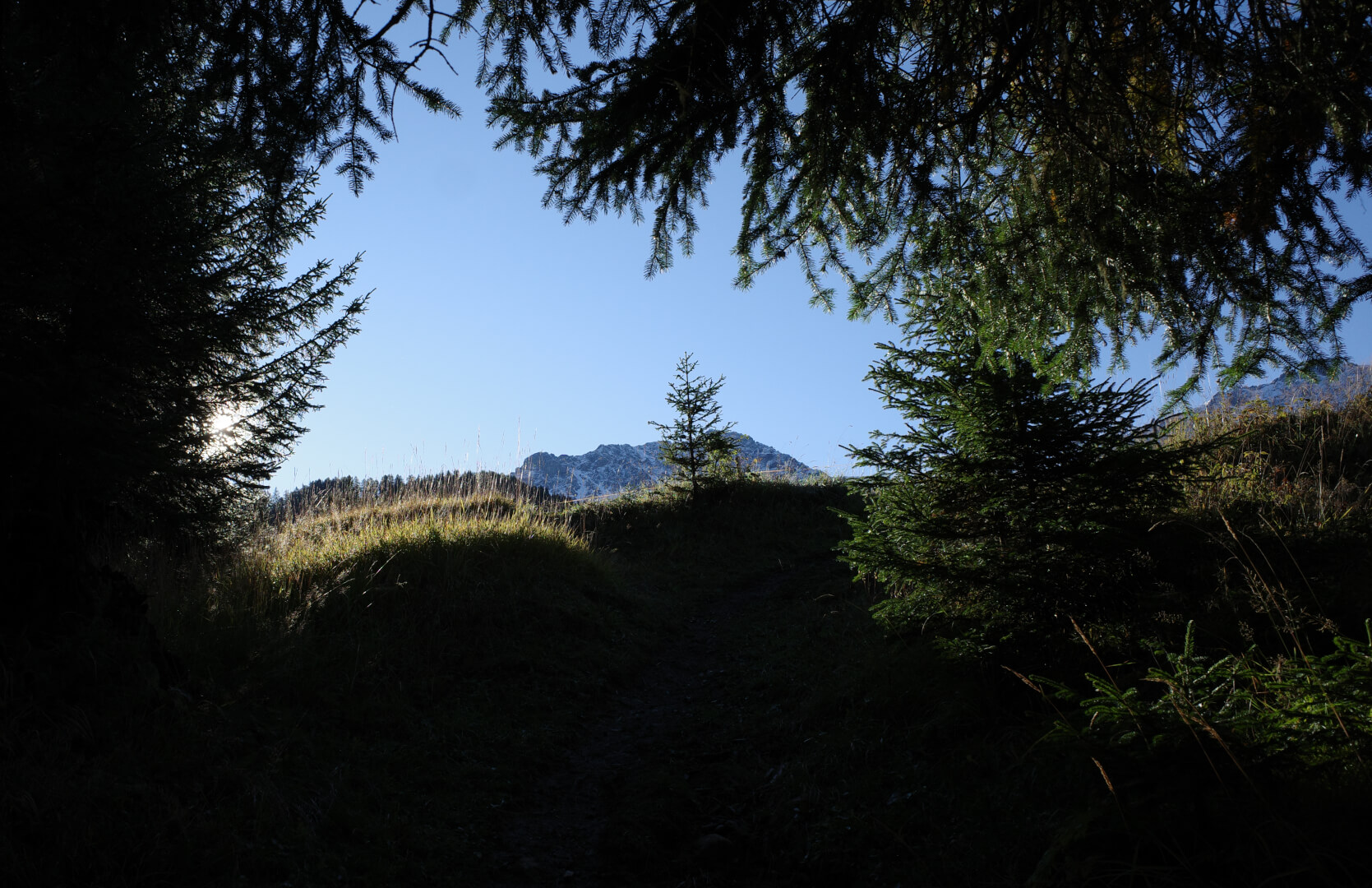 Lichtung