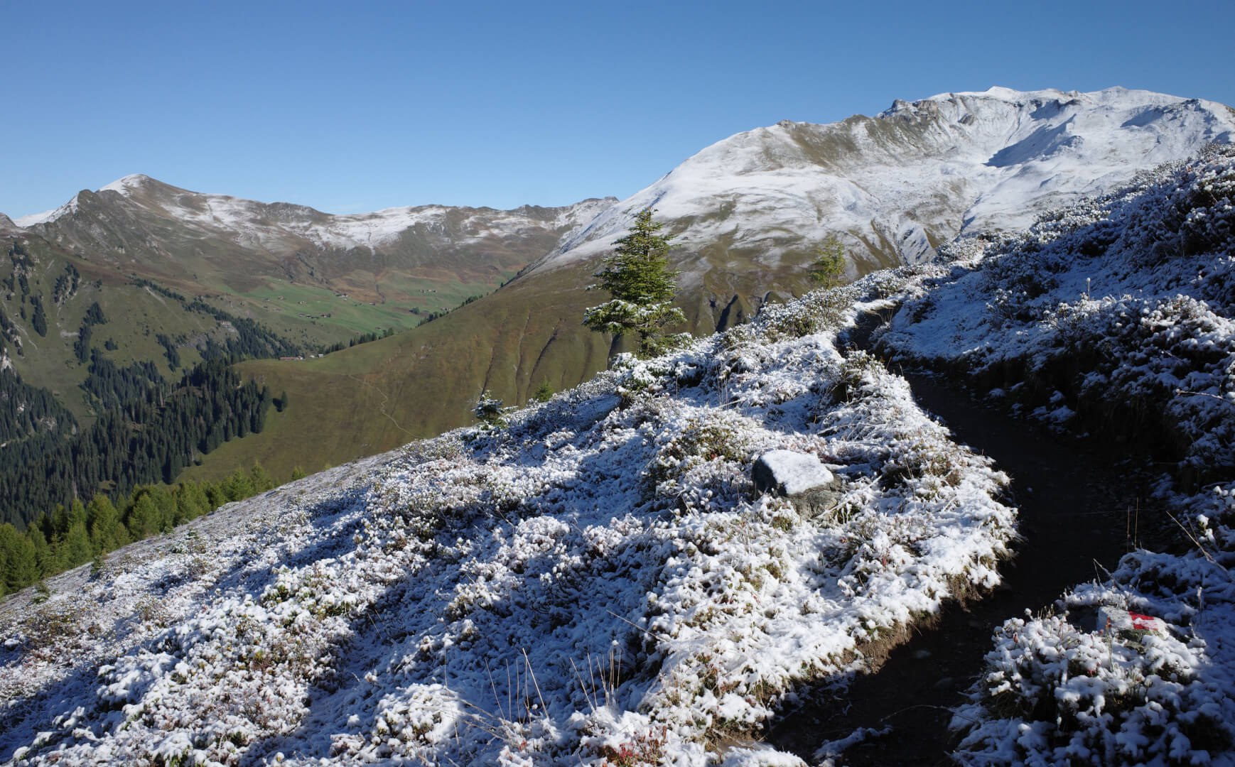 Wanderweg bei Neuschnee