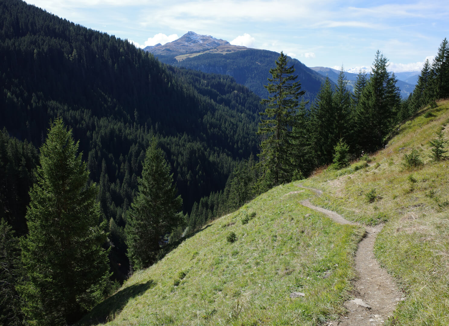 Wiesenweg