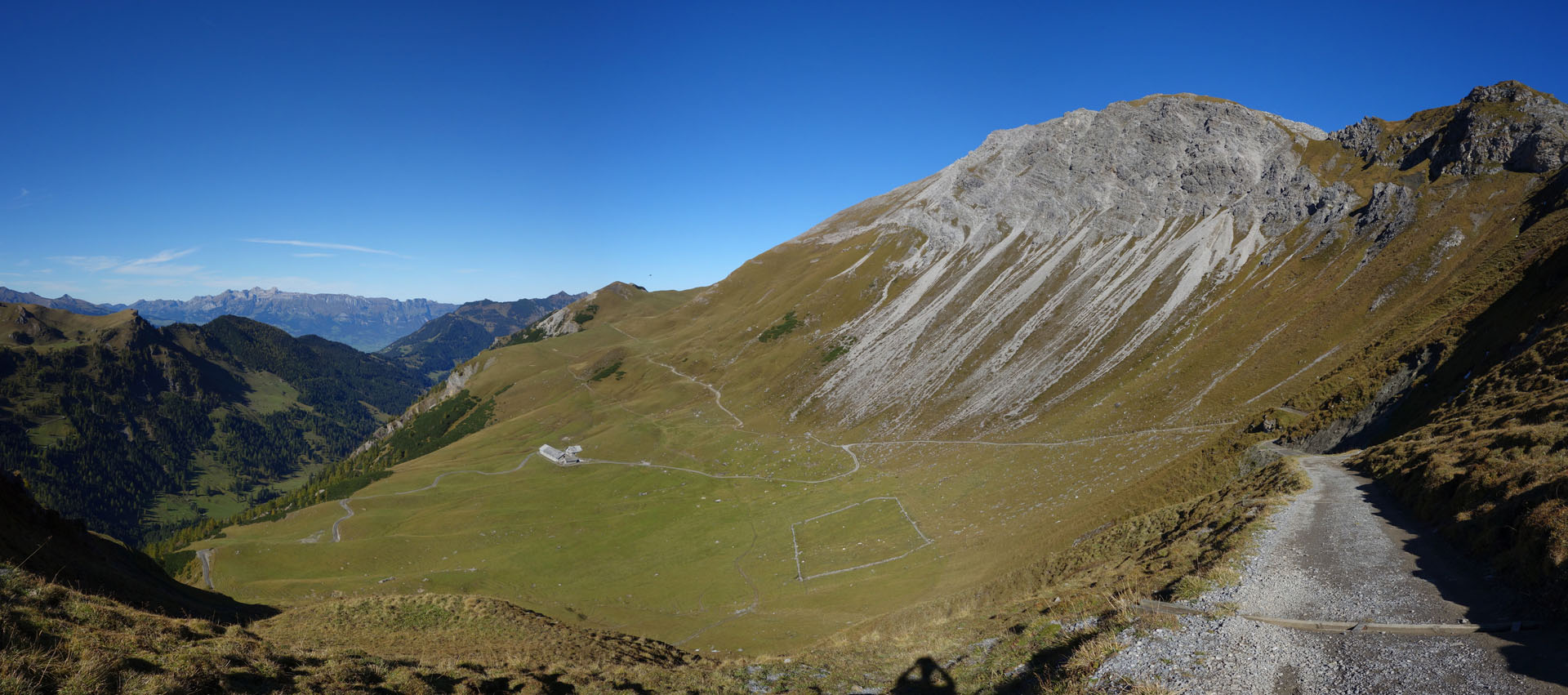 Alp Gritsch