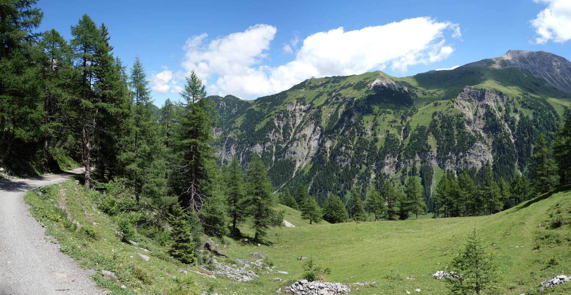 Alpwiese