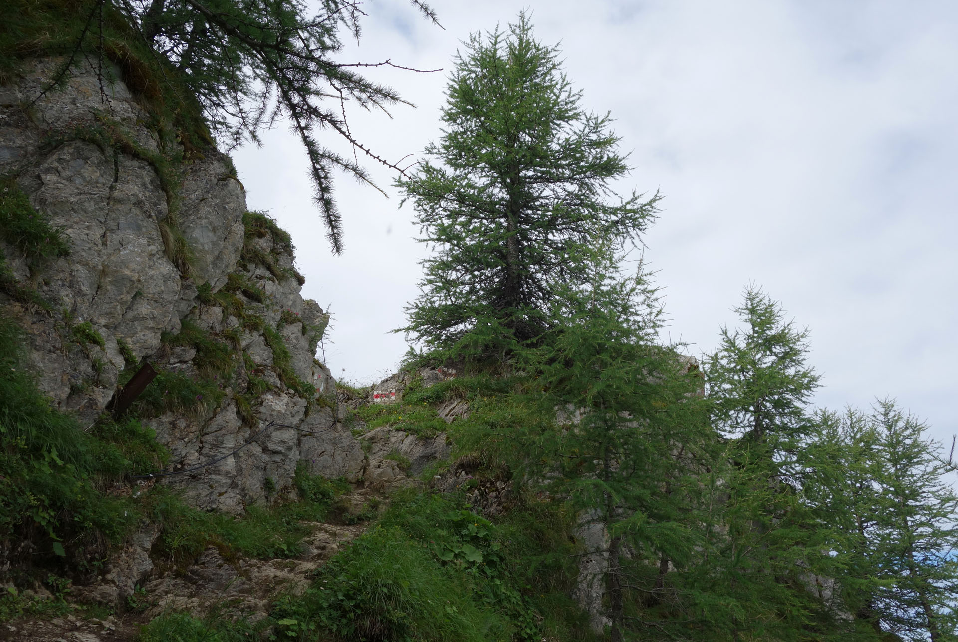 Bergweg