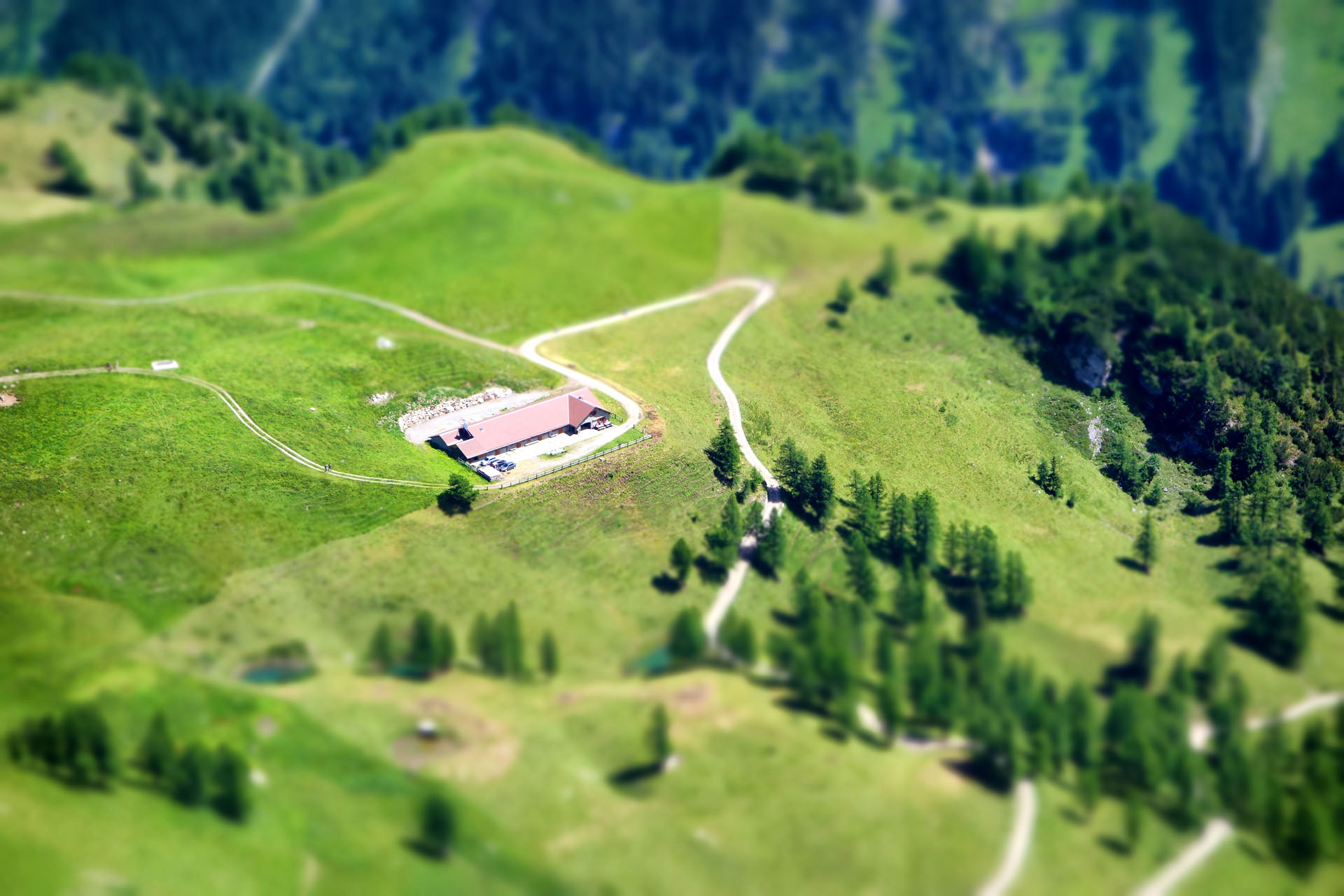 Gapfahl