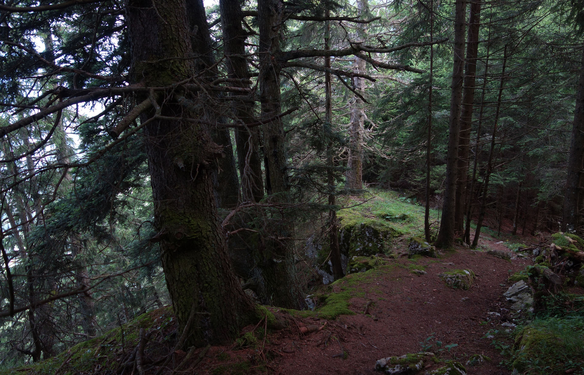 Waldweg