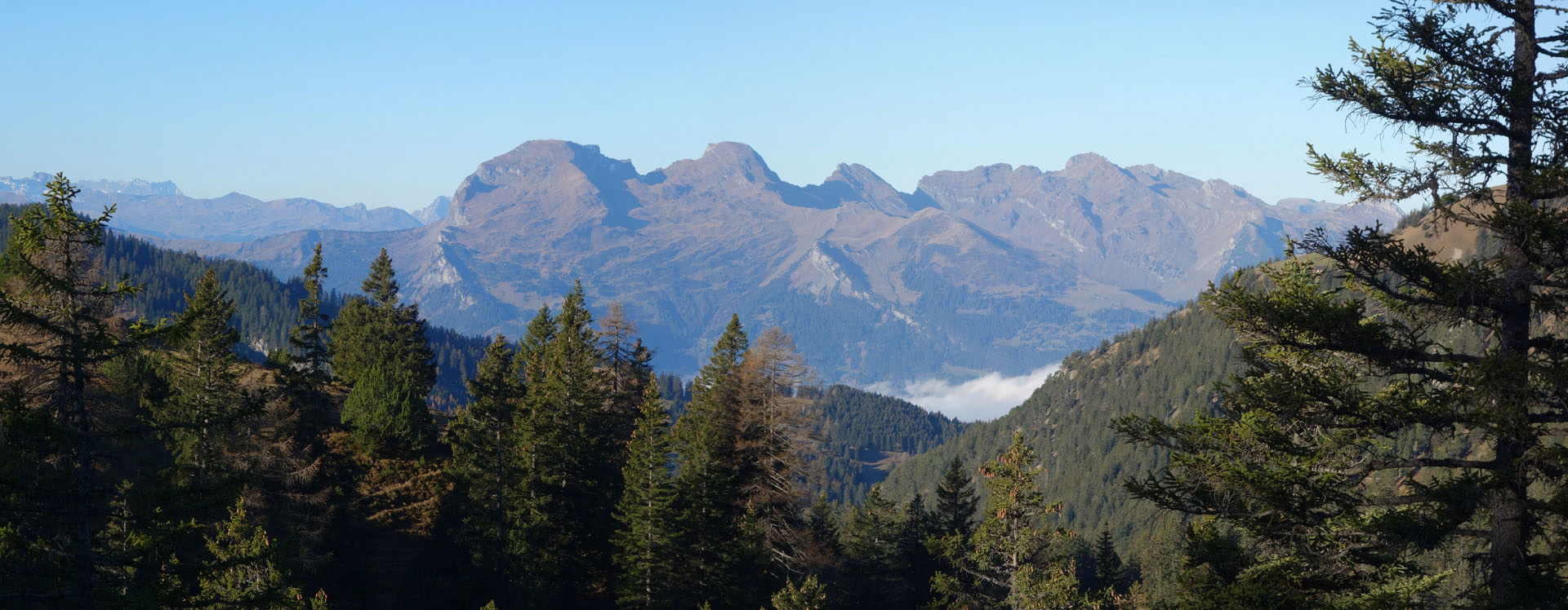 Alviergruppe