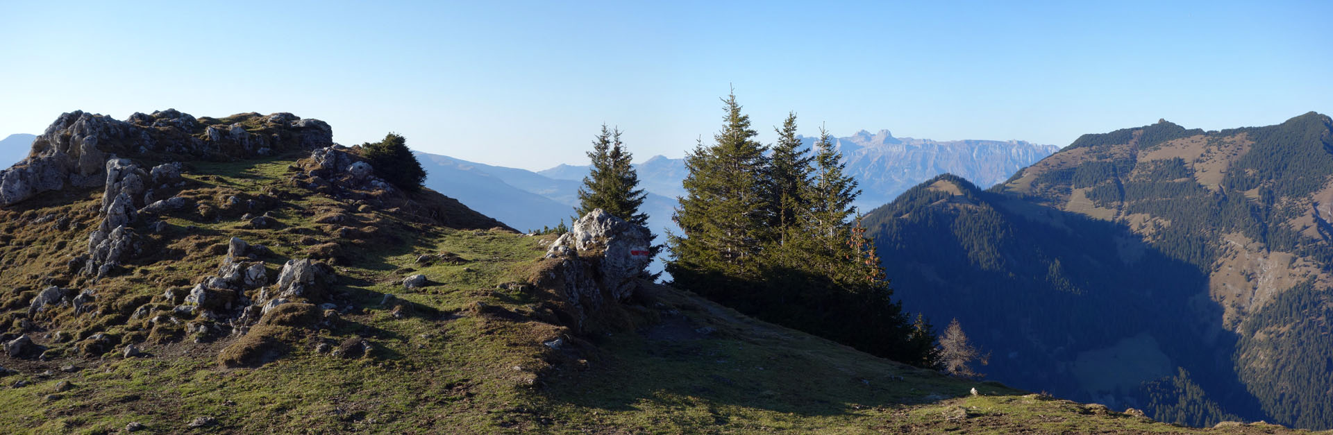 Felsen auf Bergwiese