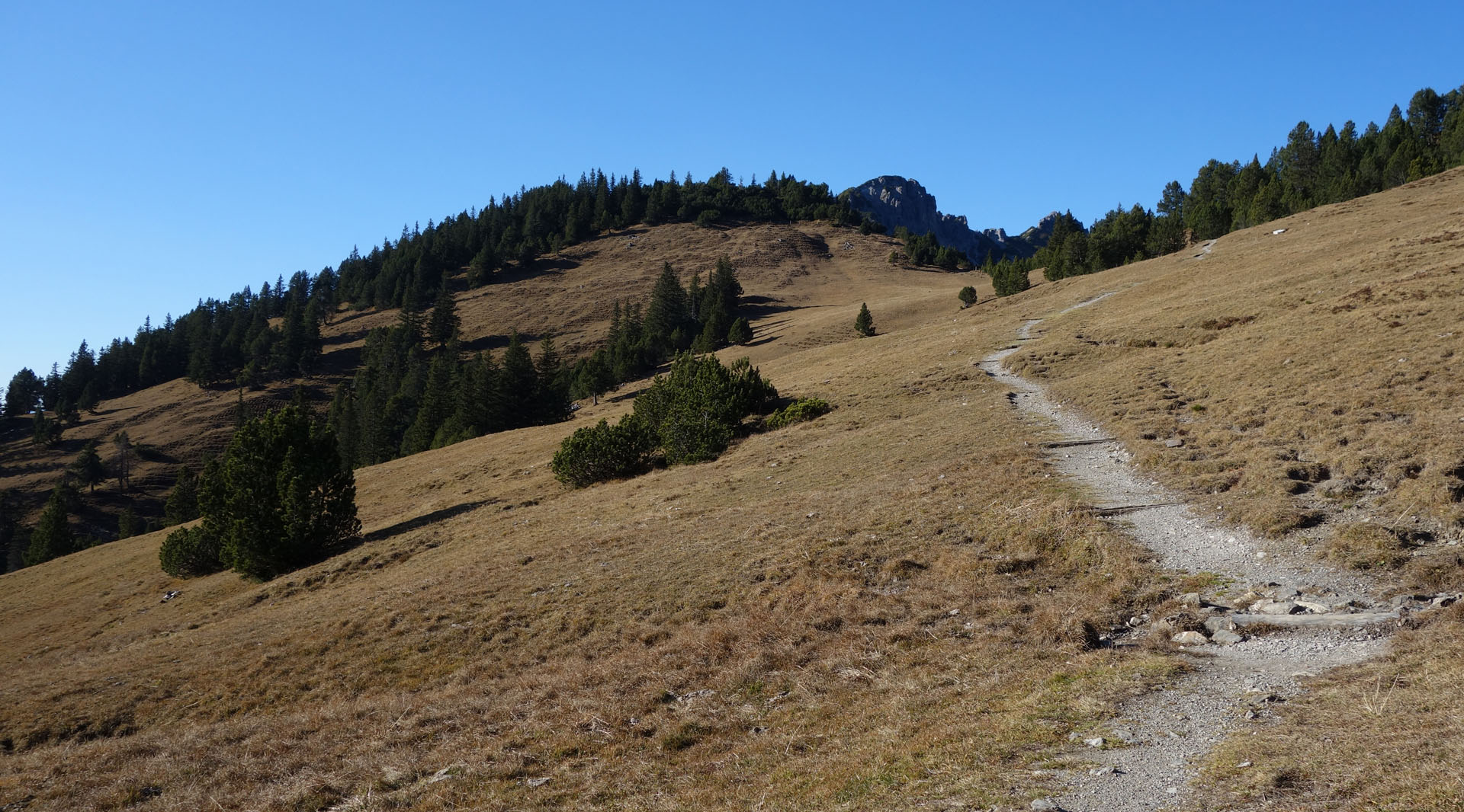 Herbstwiese