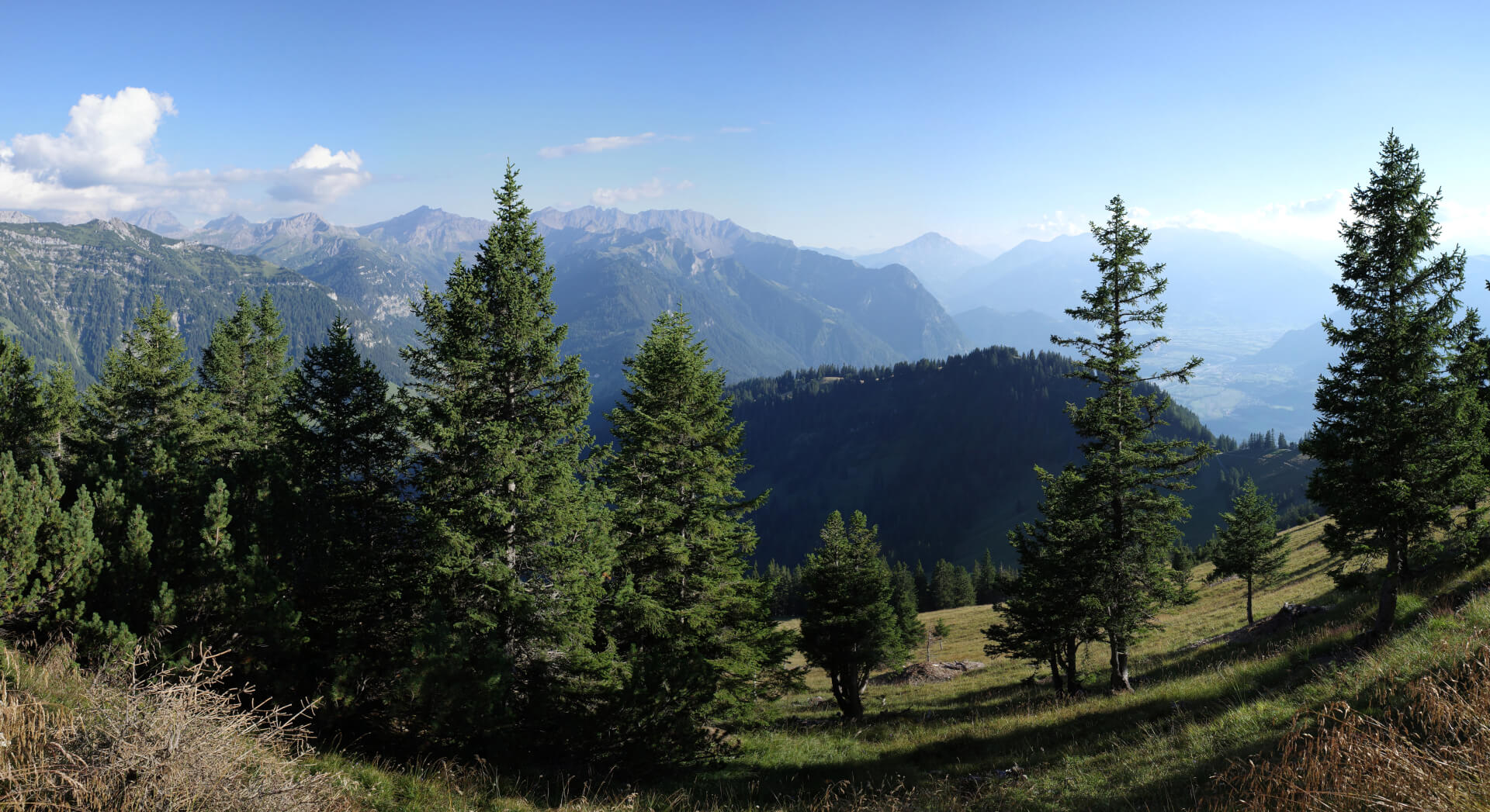 Landschaft Liechtenstein