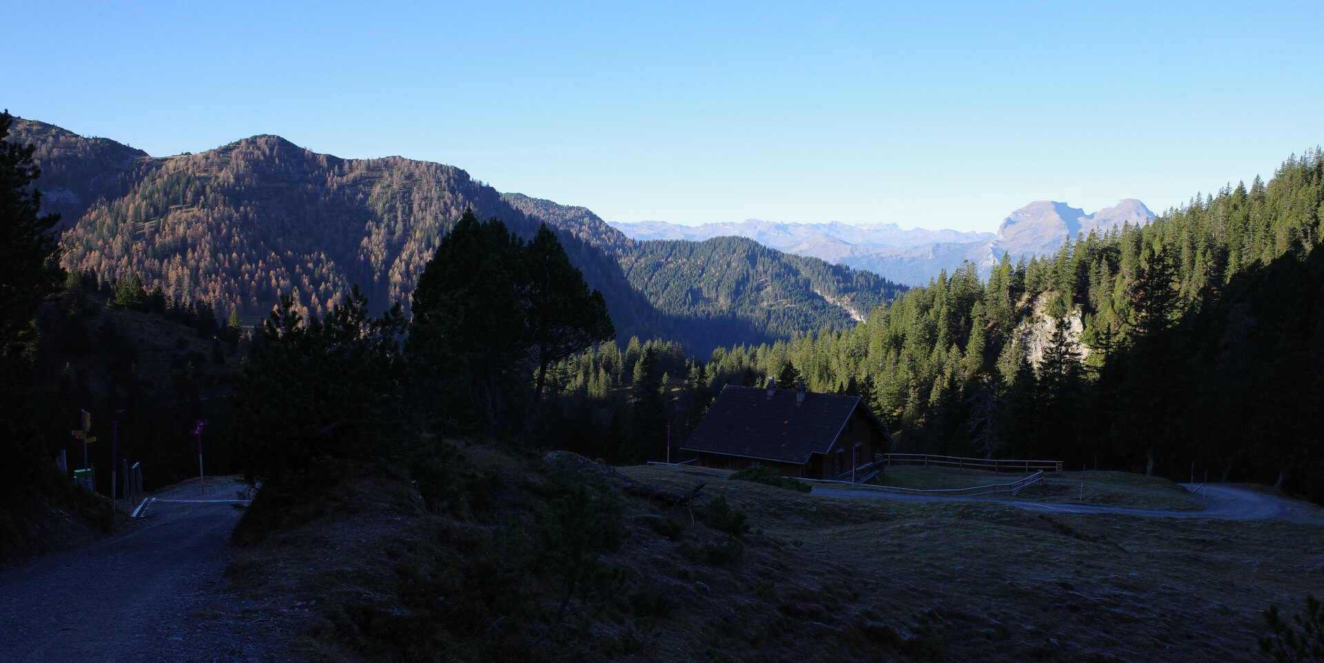 Alp Sass