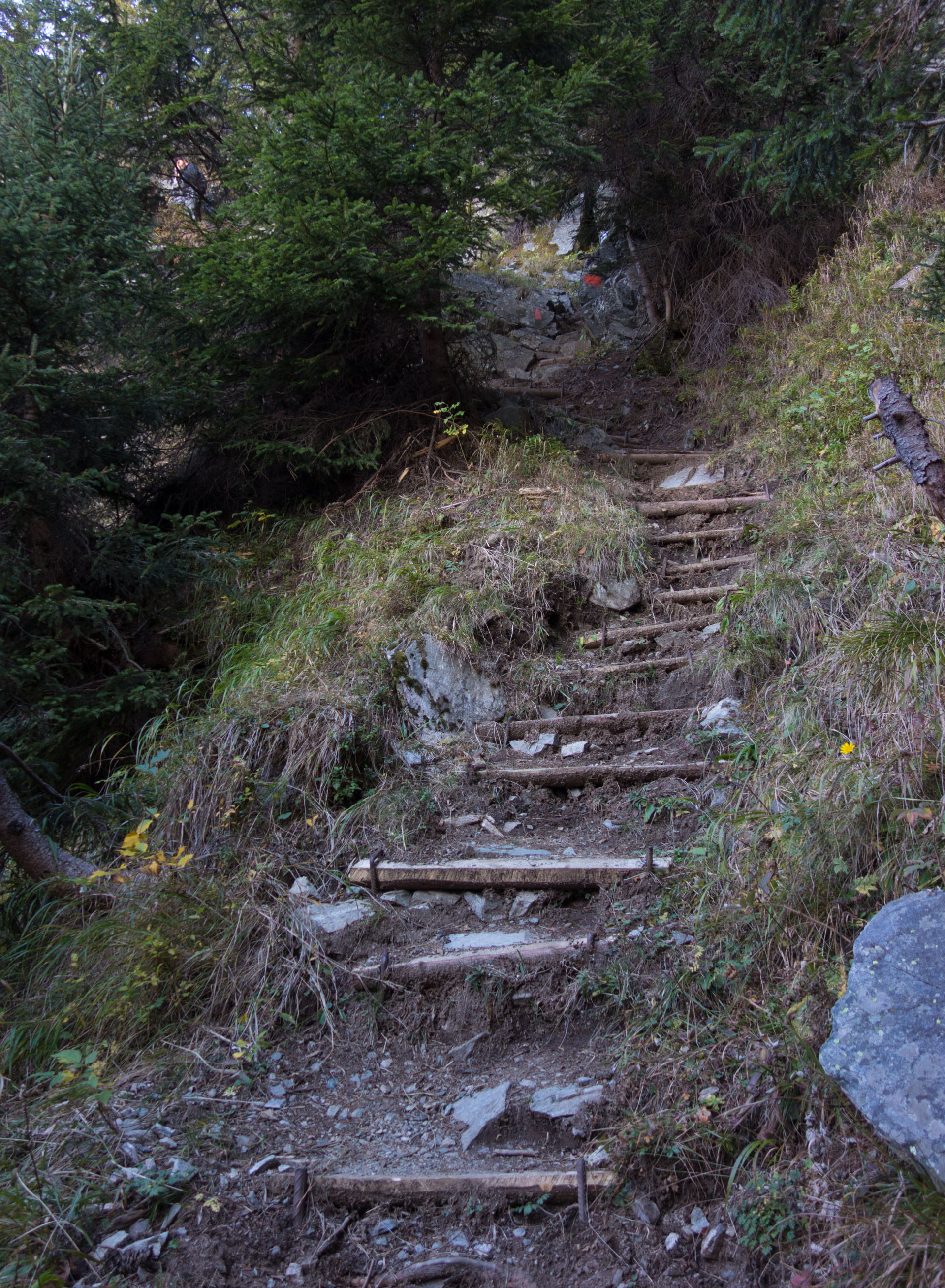 Befestigter Wanderweg