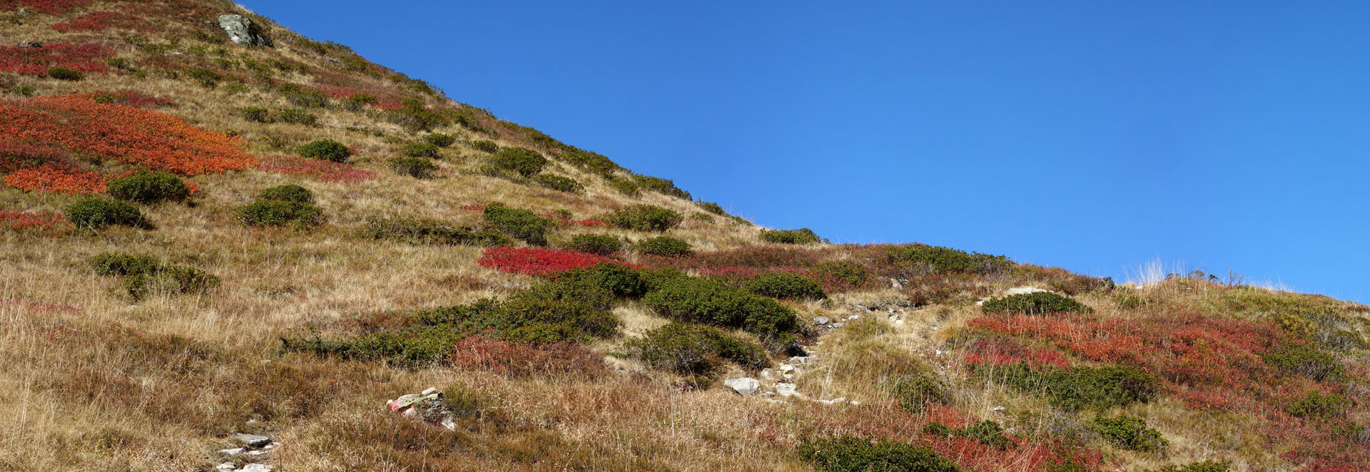 Herbstfarben