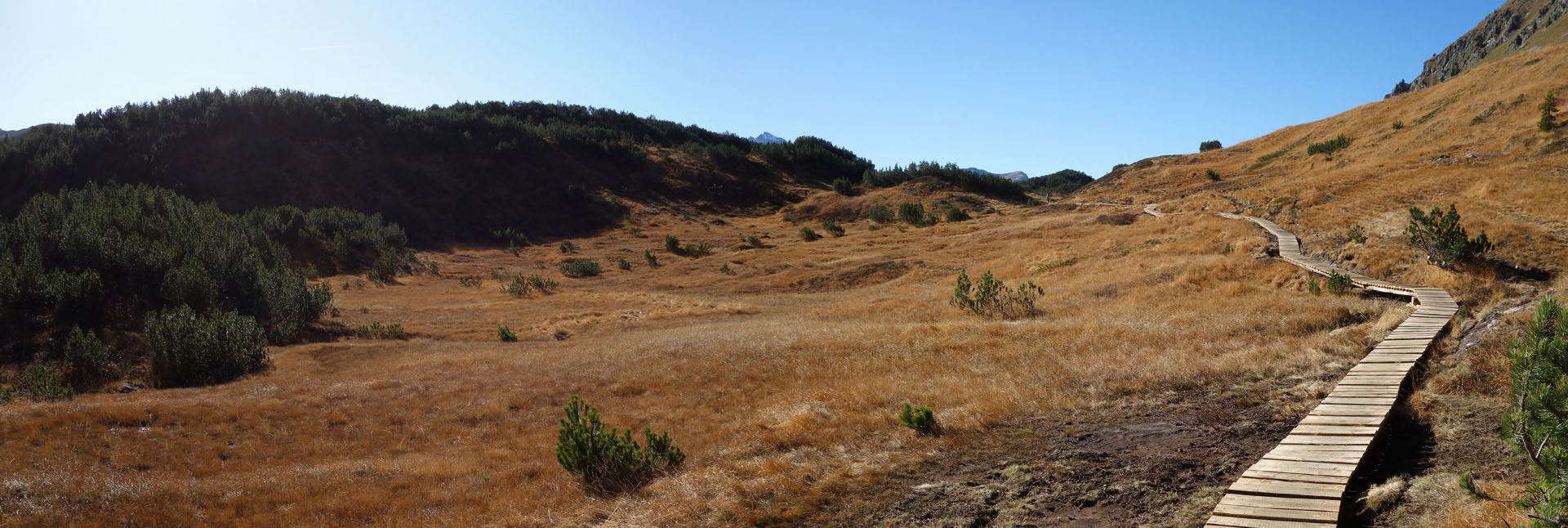 Naturschutzgebiet Wiegensee