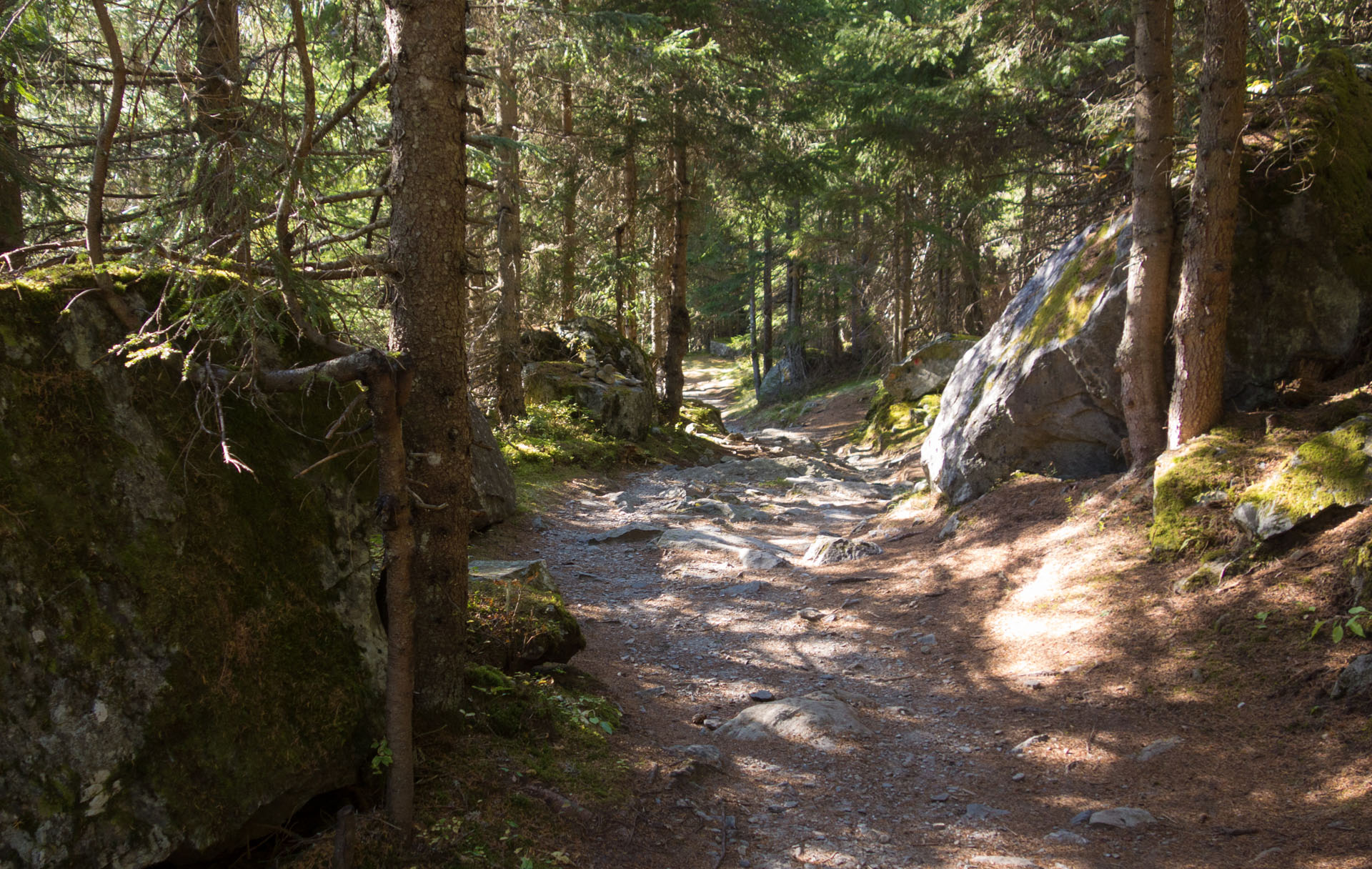 Weg durch Felsen im Wald