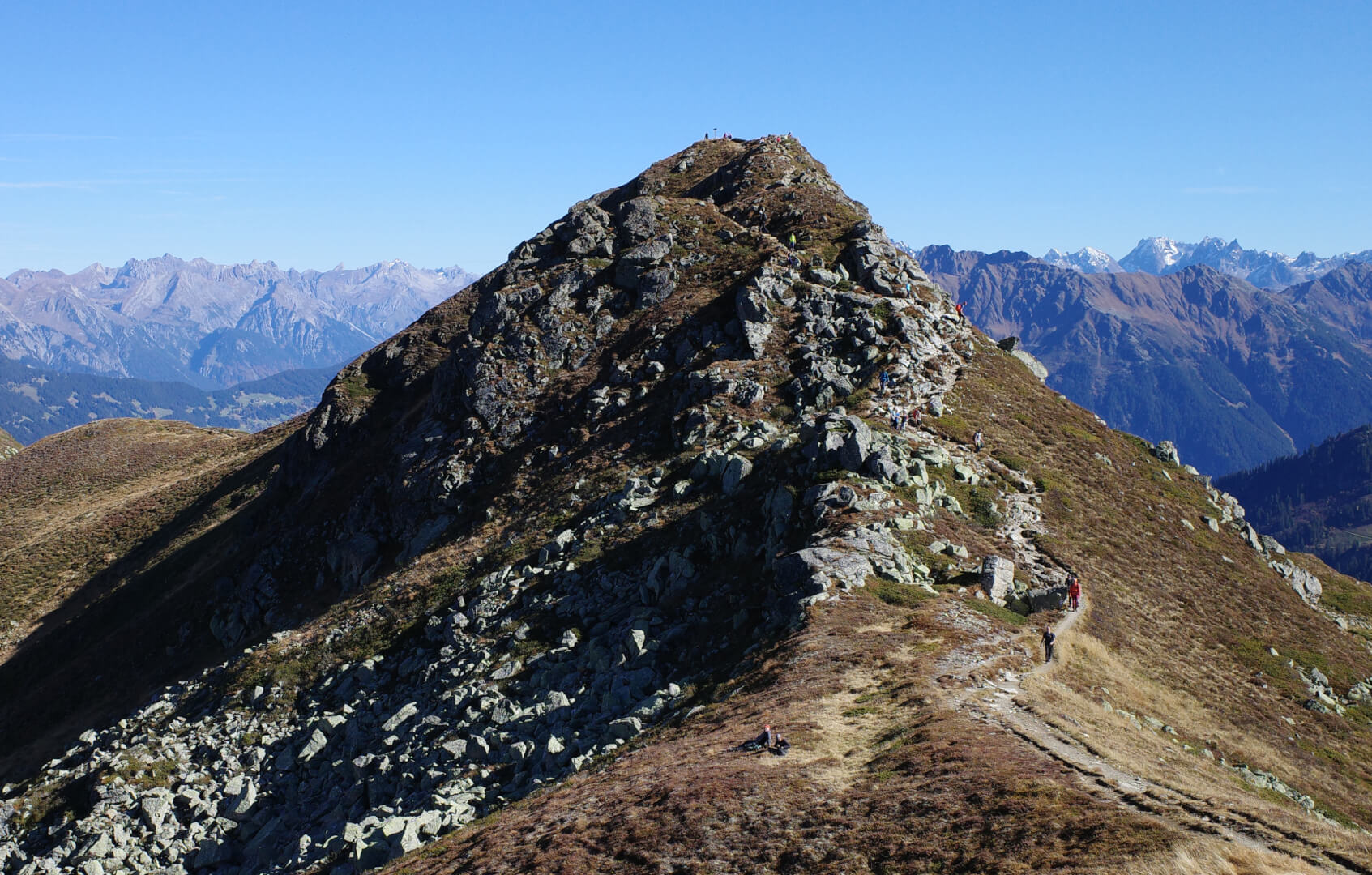 Latschätzkopf