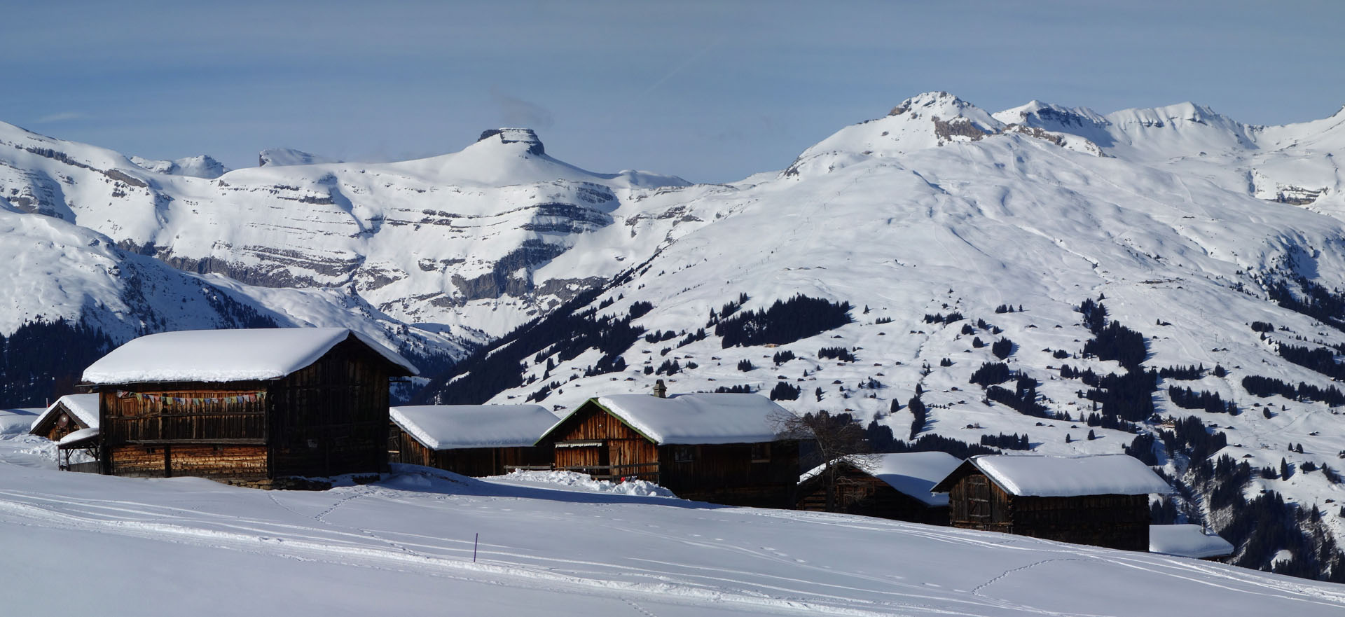 Alp Untermatt