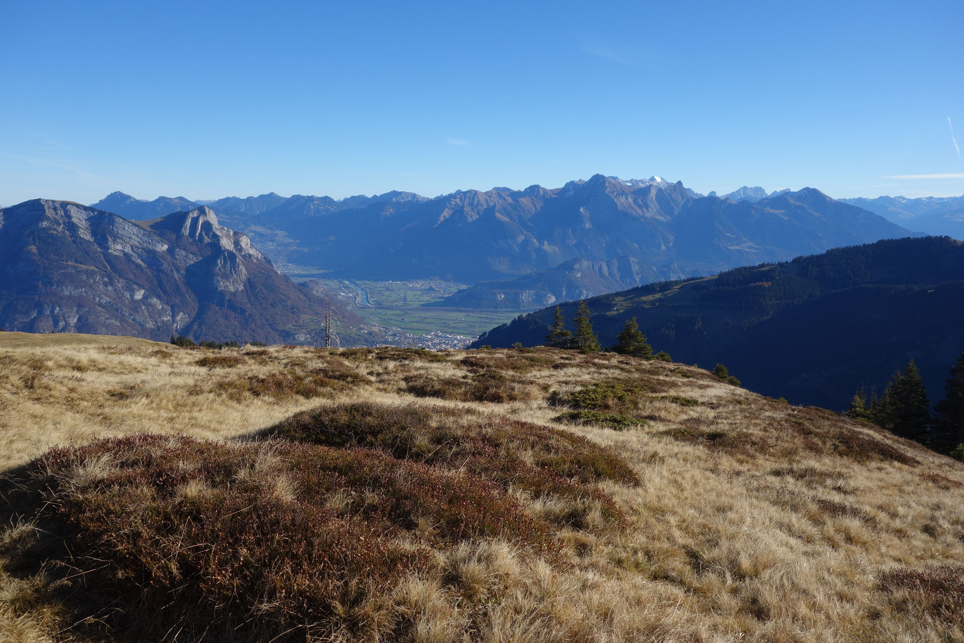 Herbstgras