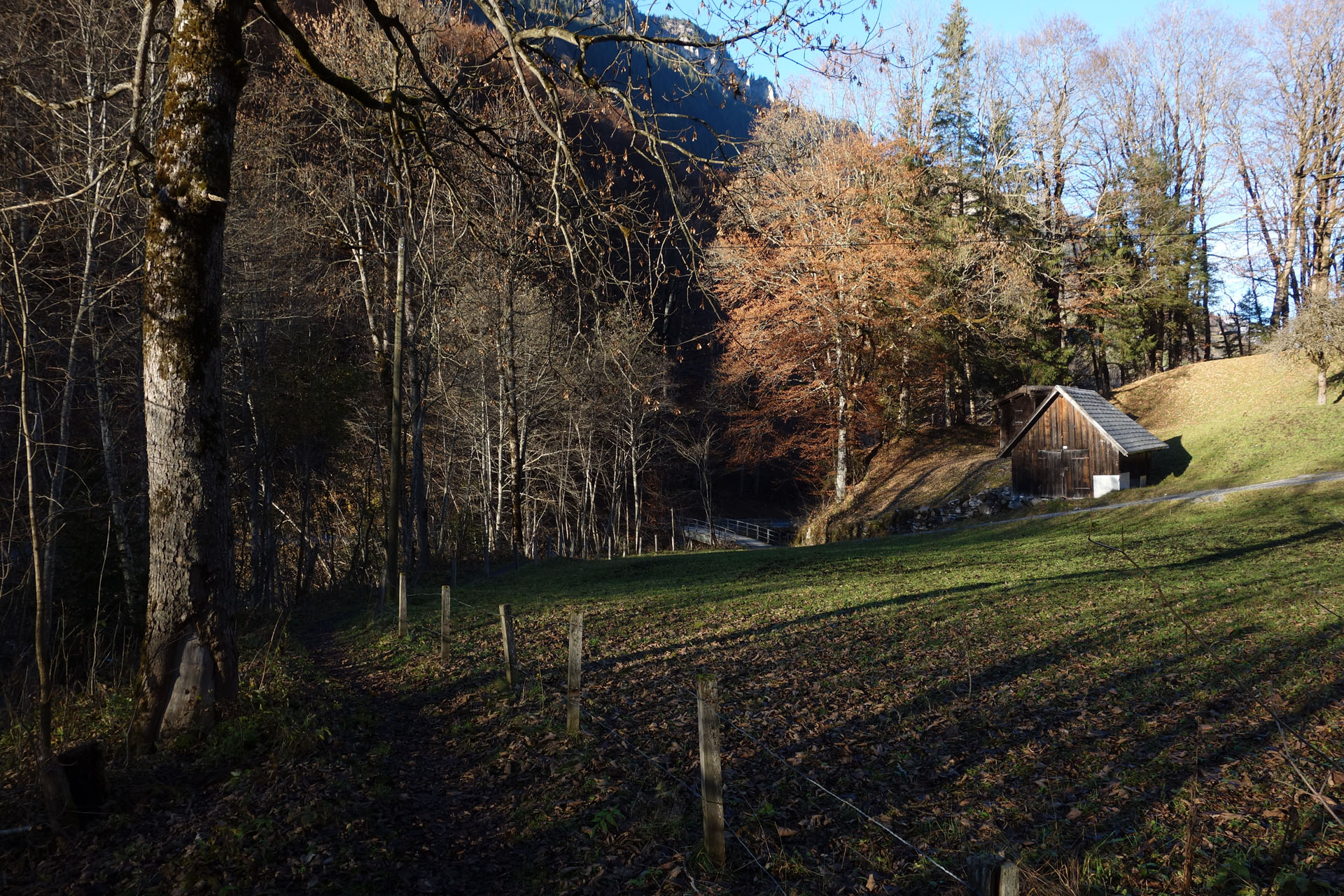 Spazierweg Weisstannen