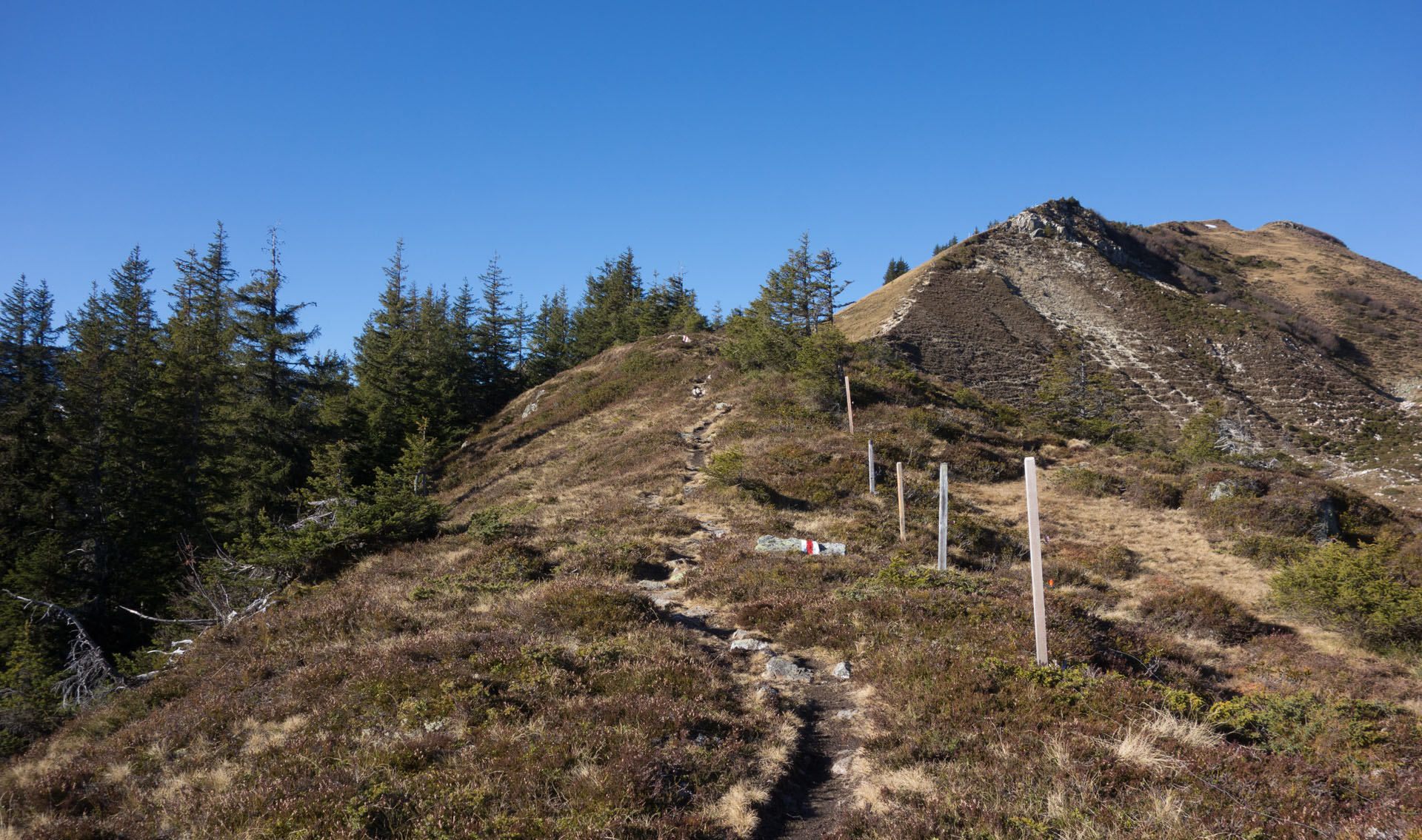 Wanderweg Hüenerchopf