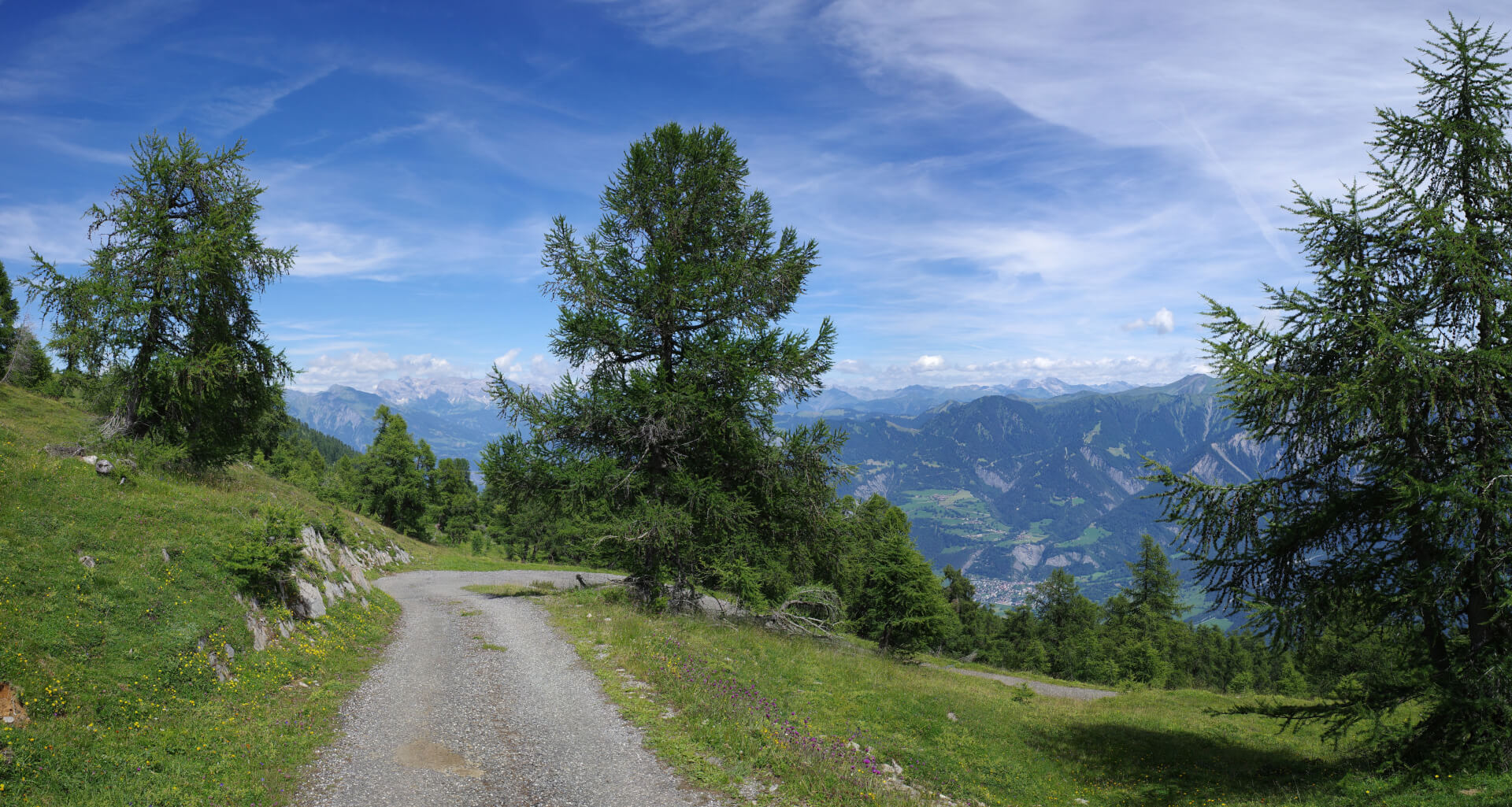Alpweg durch Lärchenwald