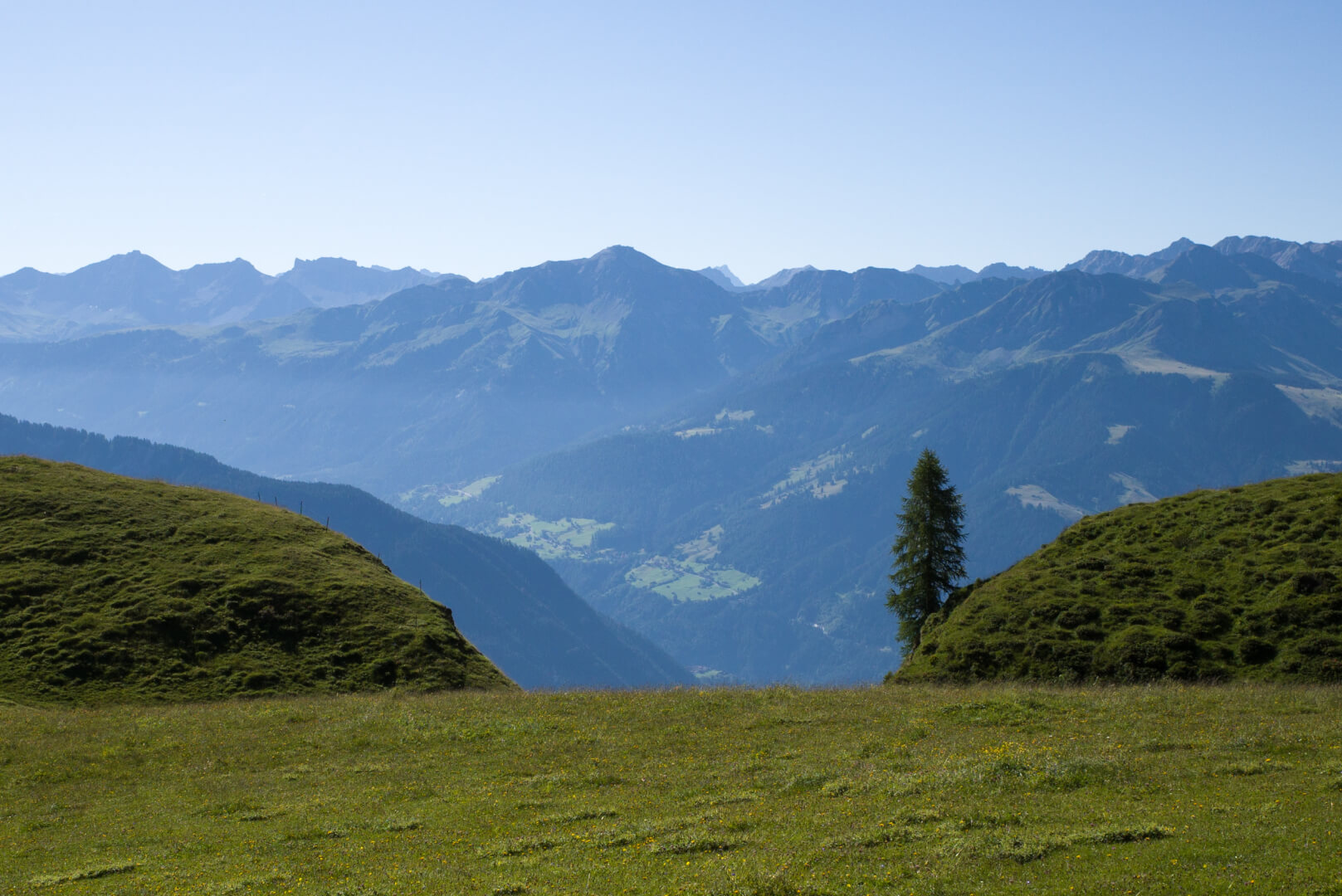 Blick auf Aroser Weisshorn