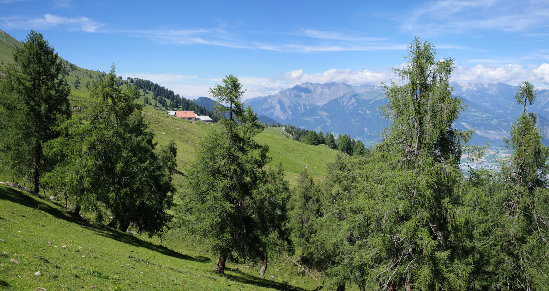 Vazer Alp