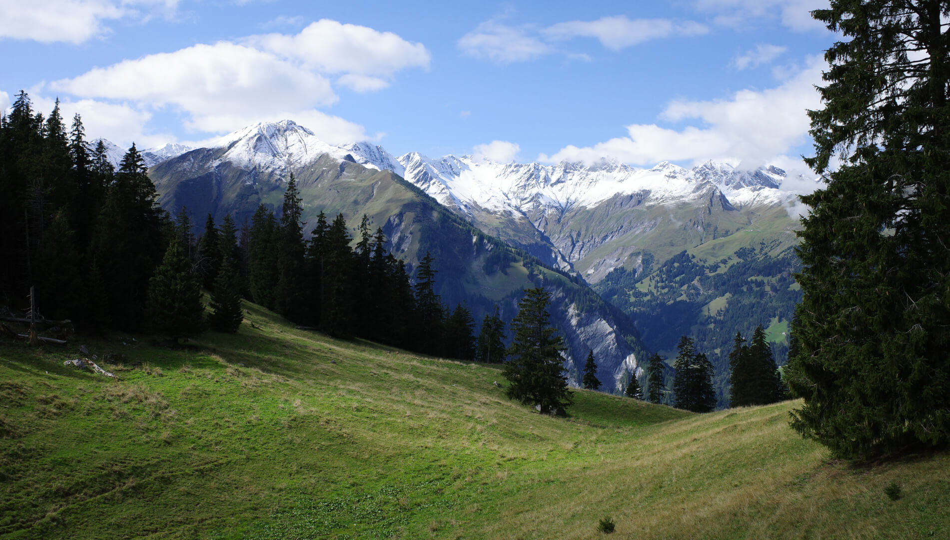 Blick zum Pizol