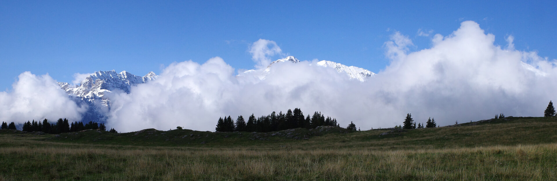 Panorama Salaz