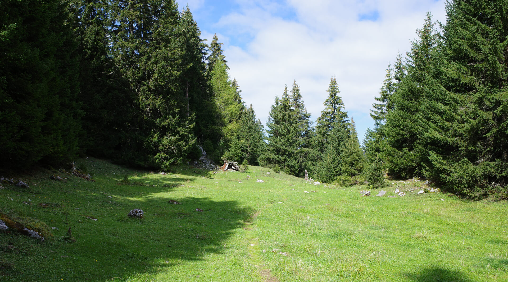 Rundwanderung St. Margrethenberg